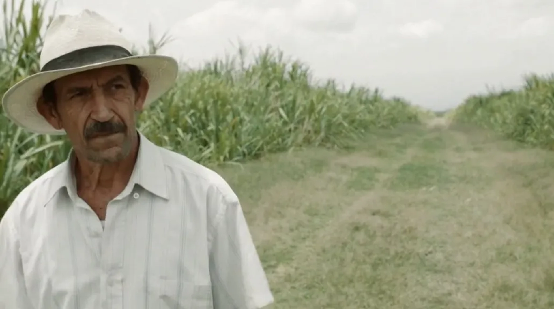 Haimer Leal in Land and Shade (2015)