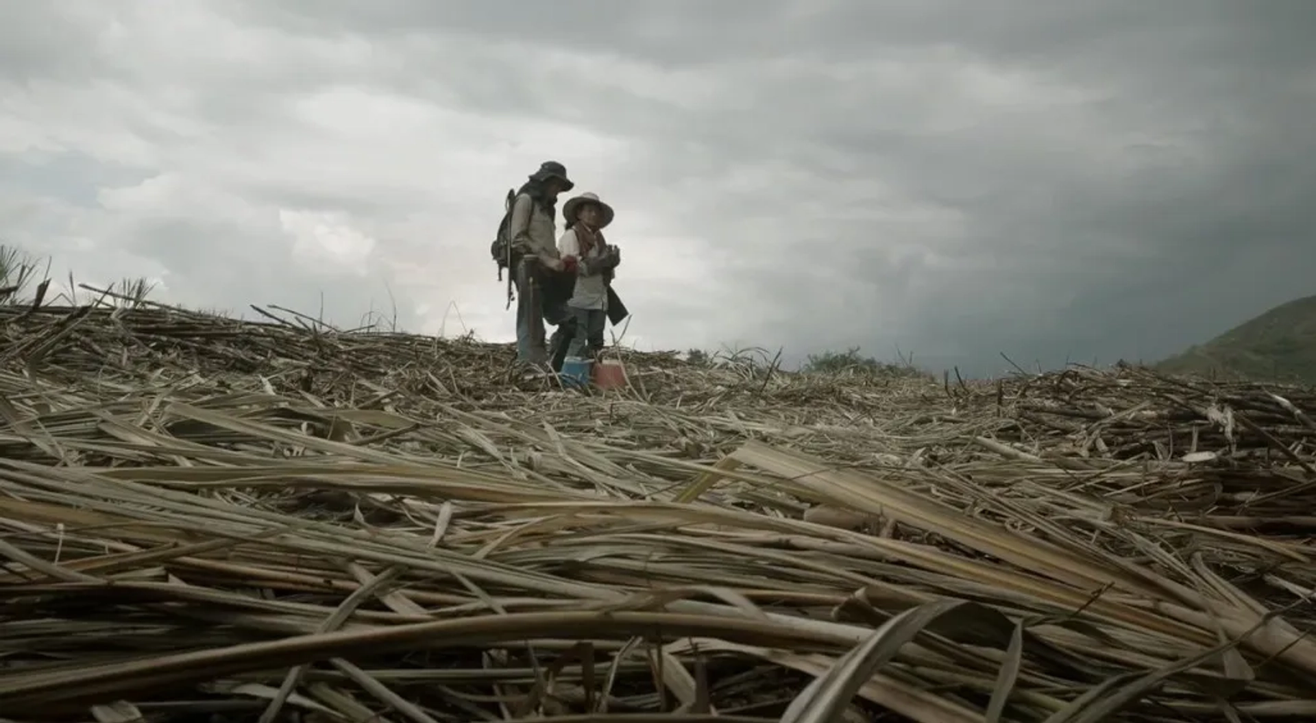 Marleyda Soto and Hilda Ruiz in Land and Shade (2015)