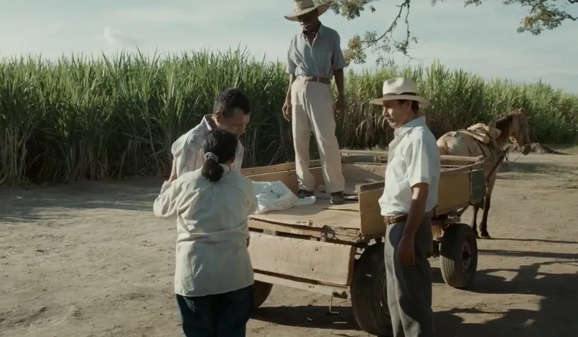 Haimer Leal, Hilda Ruiz, and Edison Raigosa in Land and Shade (2015)