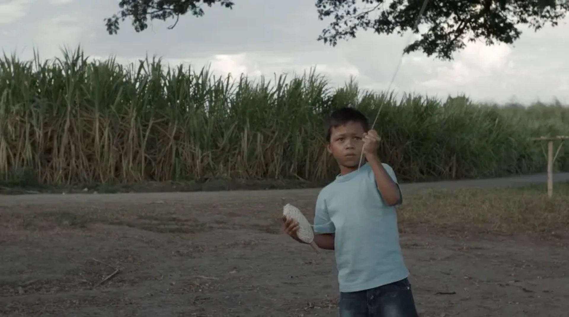 José Felipe Cárdenas in Land and Shade (2015)