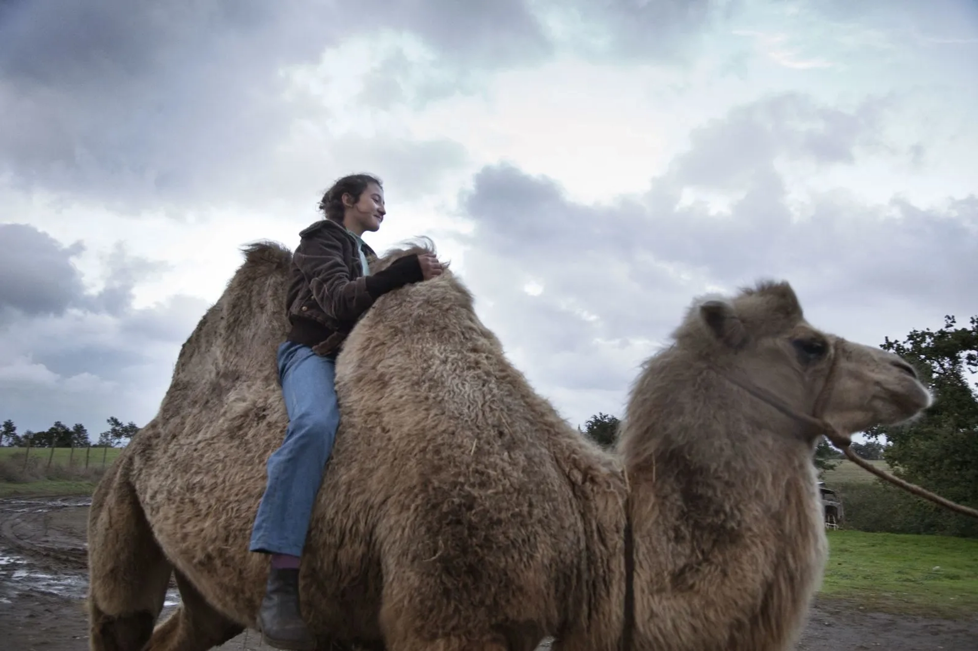 Maria Alexandra Lungu in The Wonders (2014)