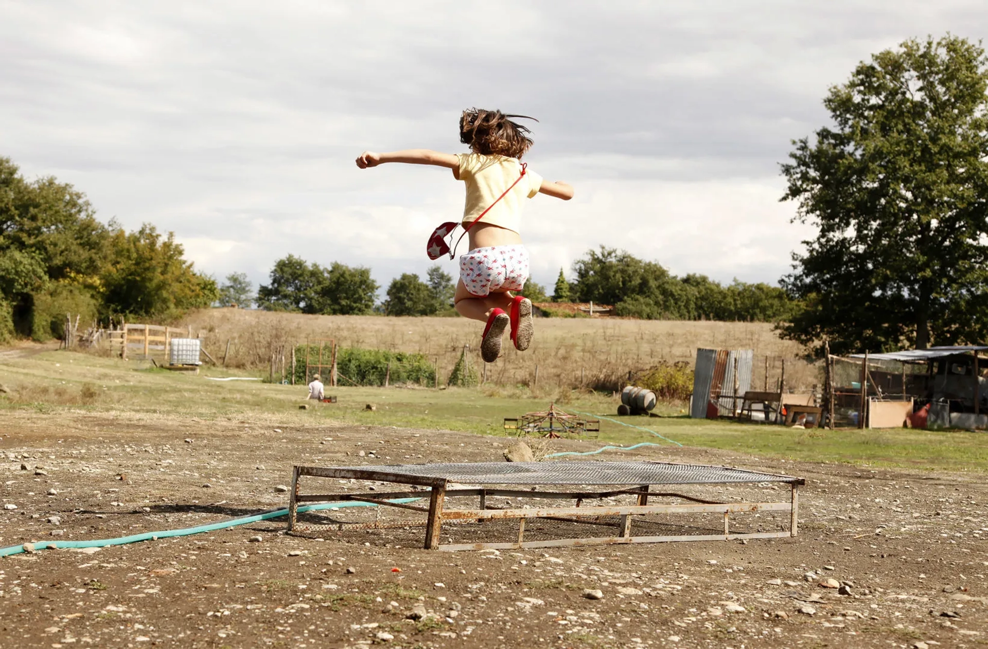 The Wonders (2014)
