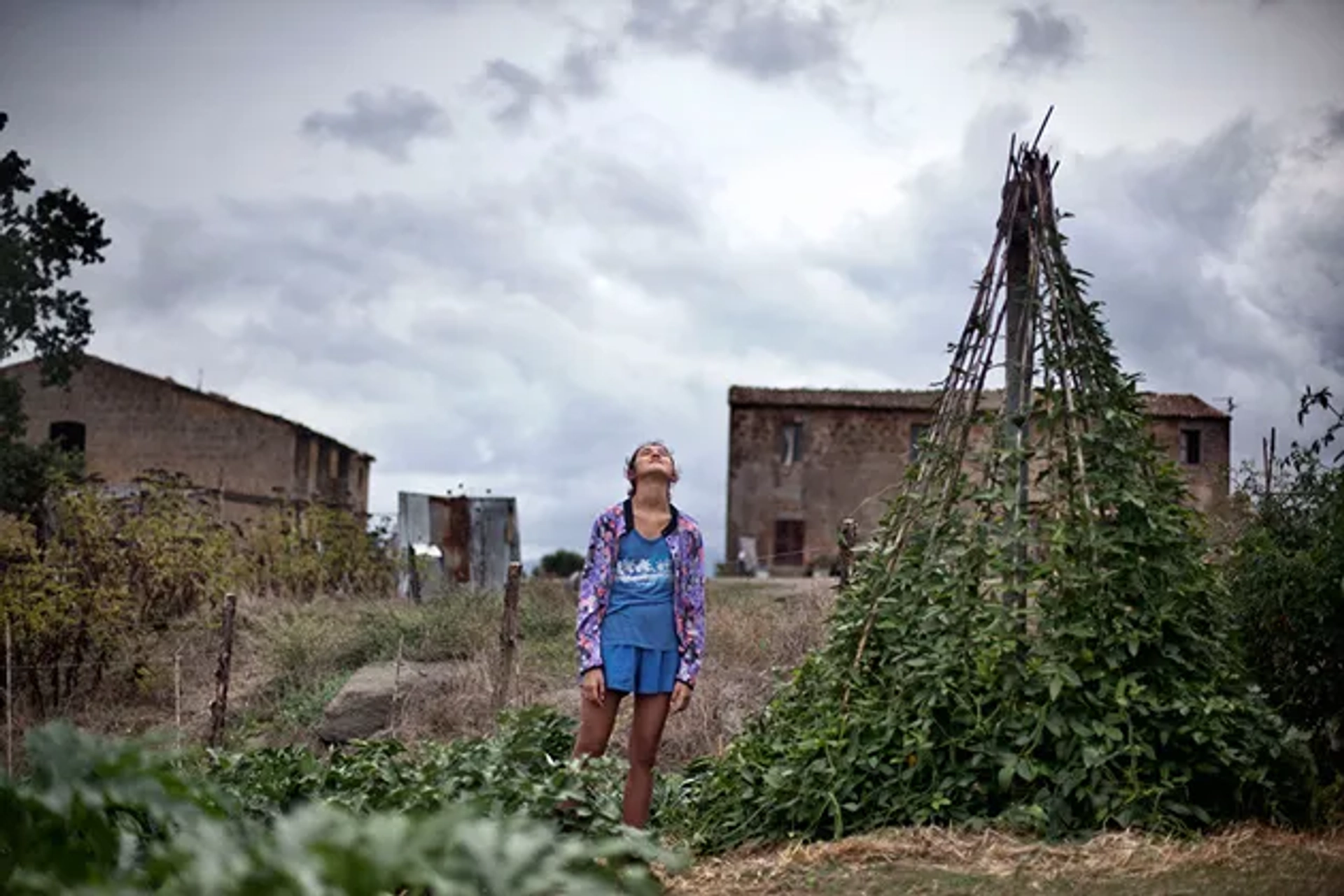 The Wonders (2014)