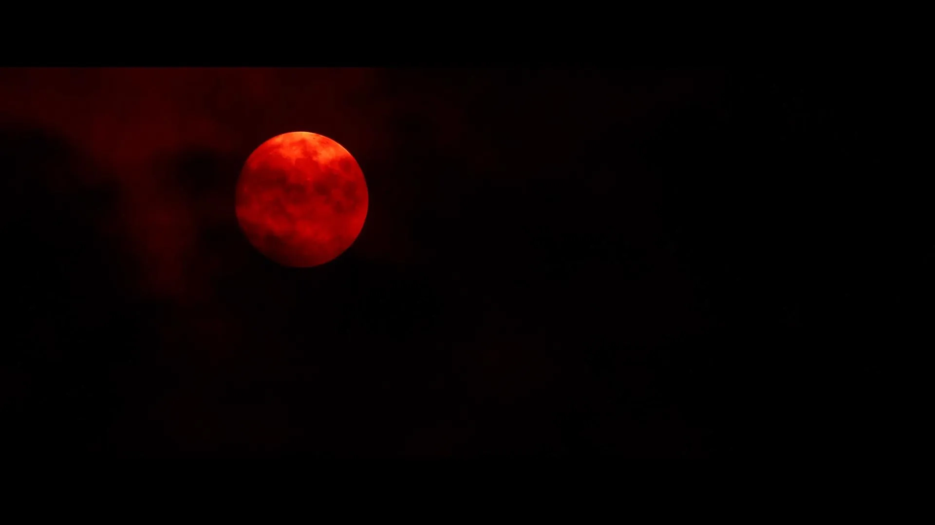 The Beast Within (2024)
