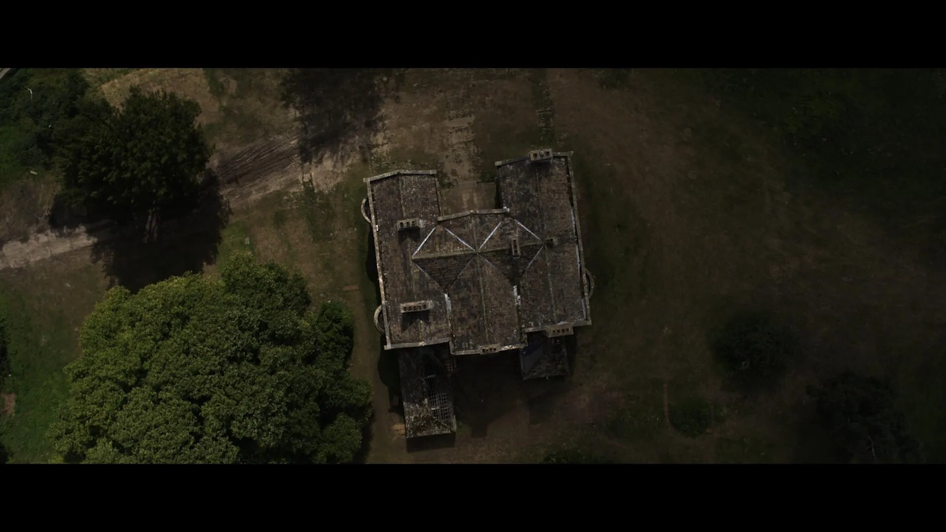 The Beast Within (2024)