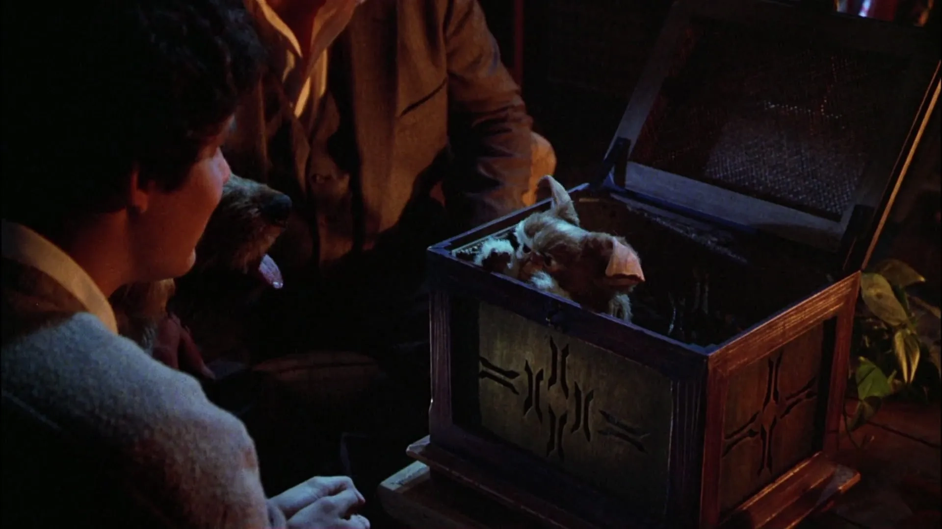 Zach Galligan and Howie Mandel in Gremlins (1984)