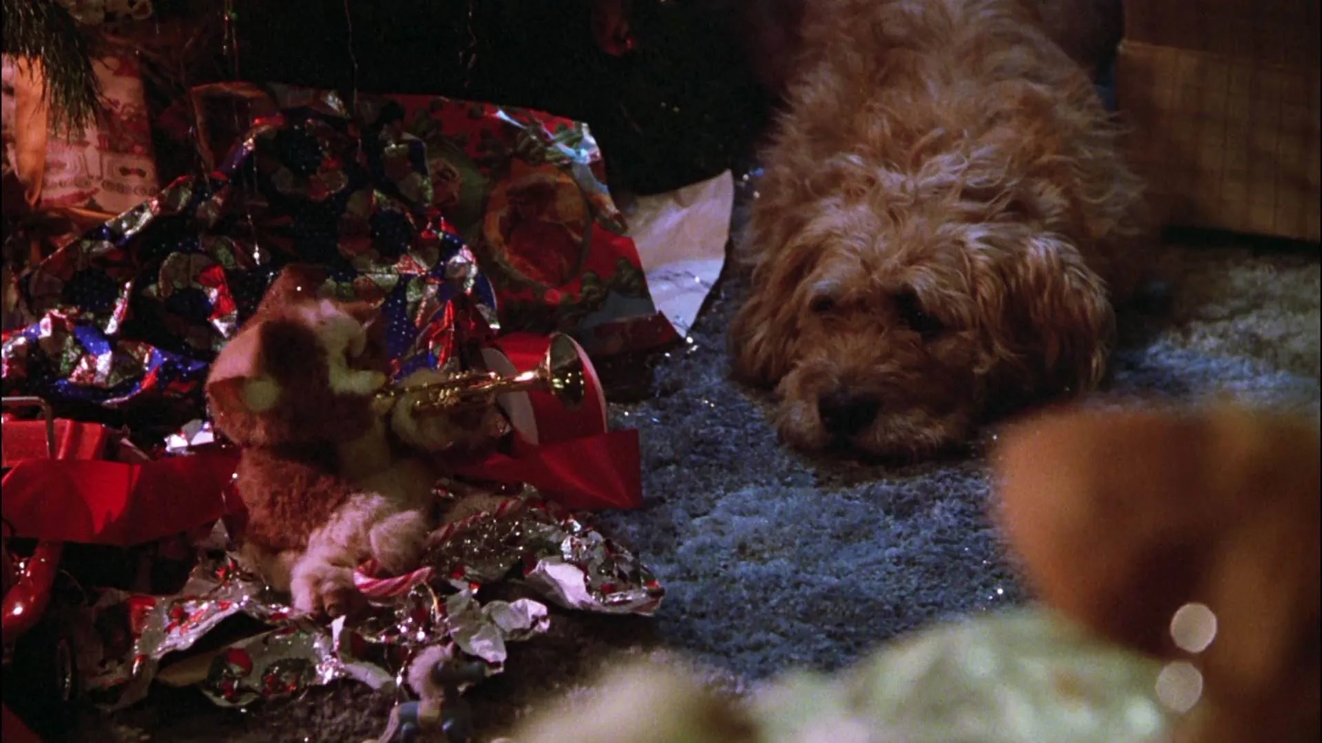 Howie Mandel and Mushroom in Gremlins (1984)