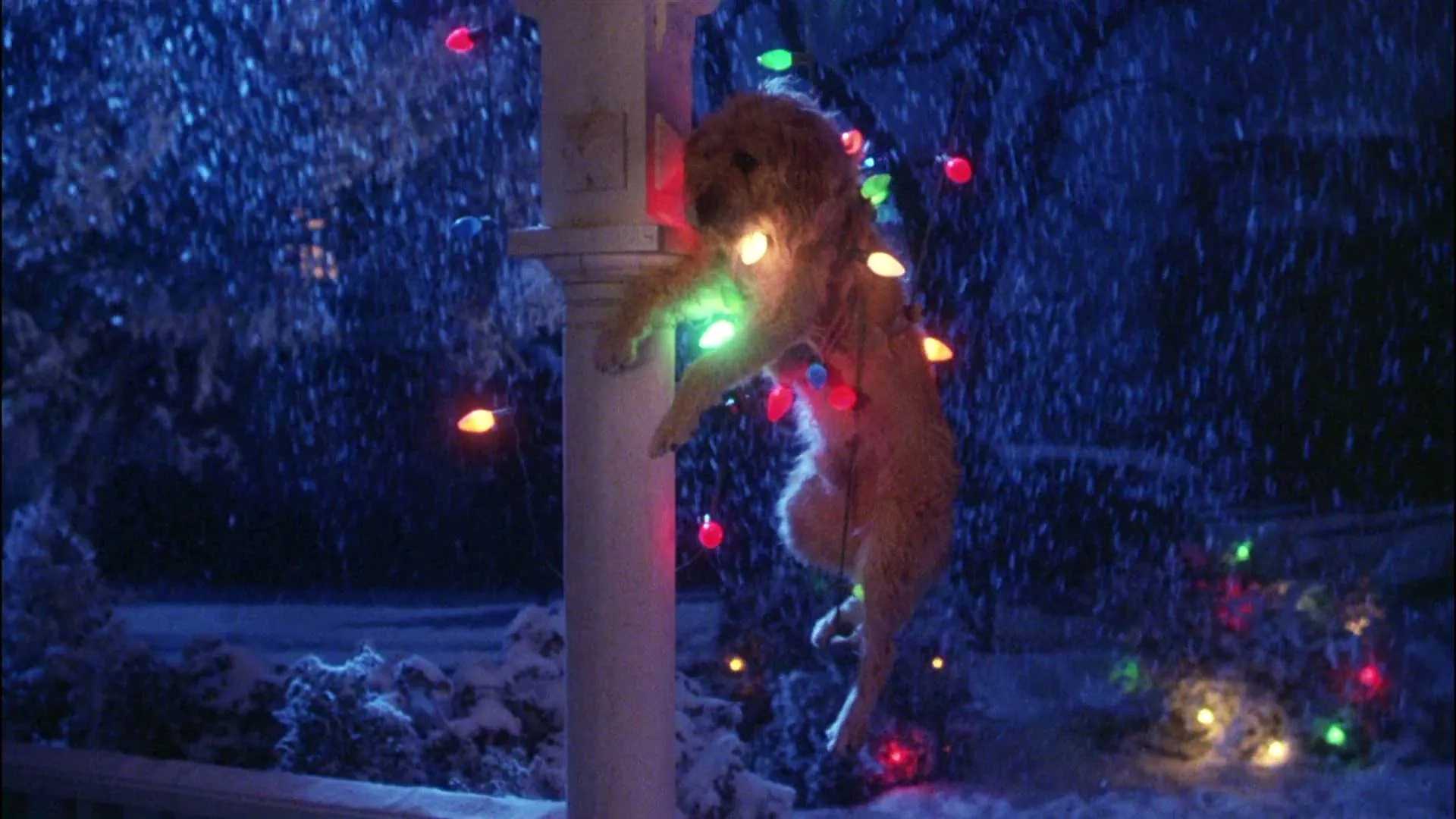 Mushroom in Gremlins (1984)