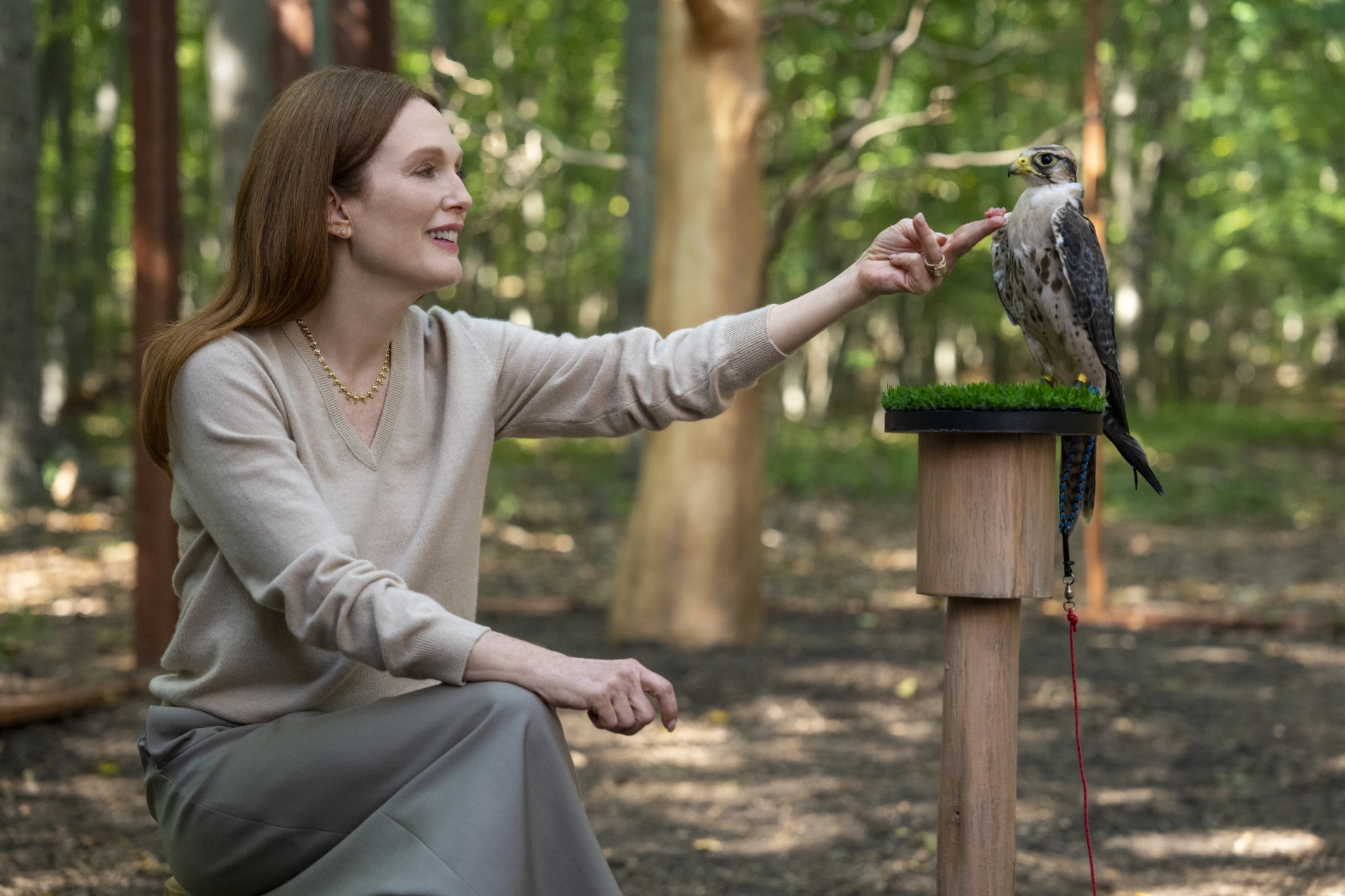 Julianne Moore in Sirens (2025)