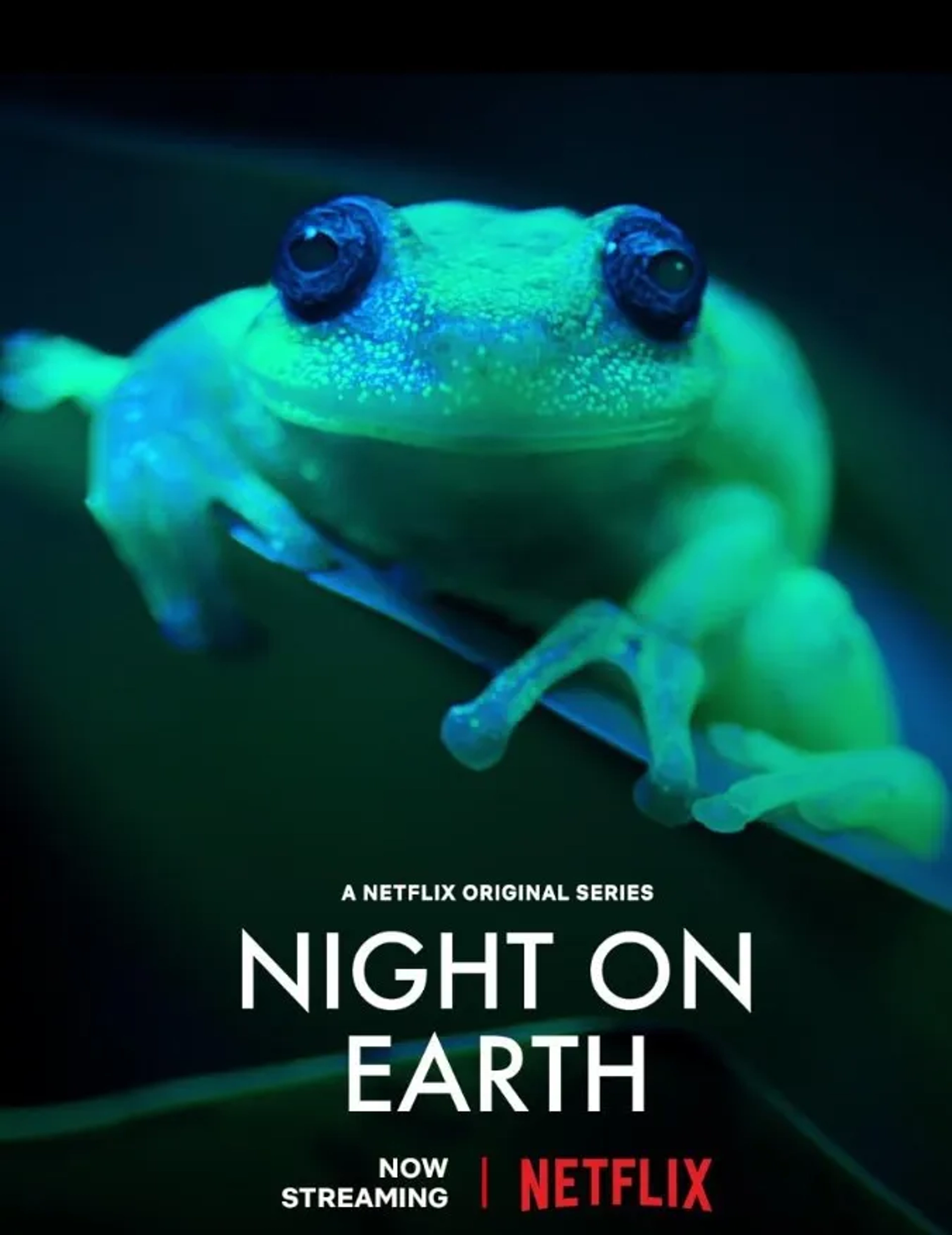 مستند شب روی زمین (Night on Earth 2020)