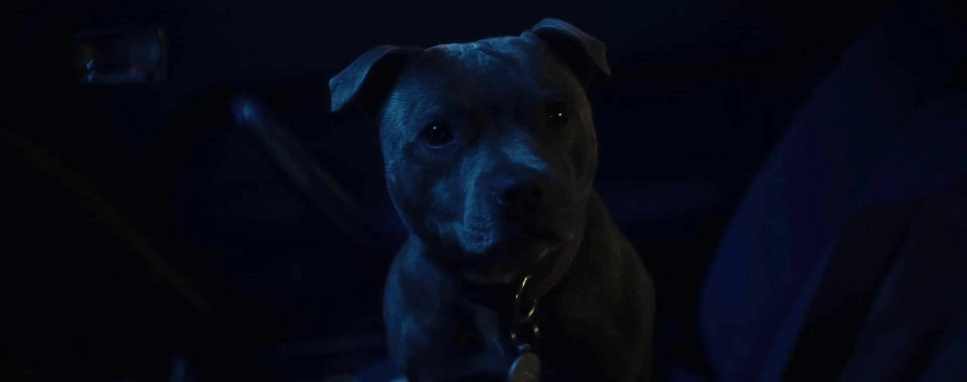 Vincent Must Die (2023)