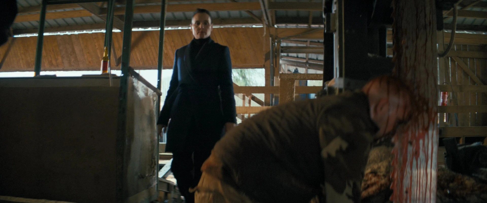 Virginie Ledoyen in The Soul Eater (2024)