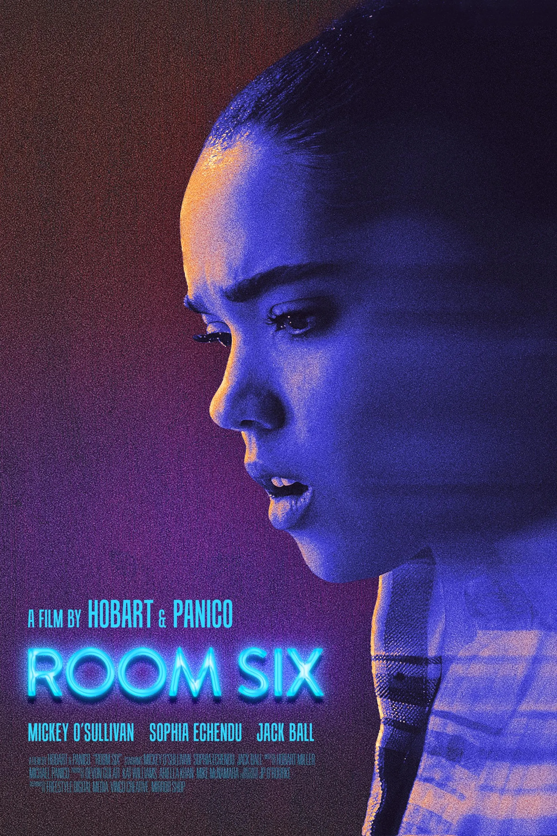 فیلم اتاق ششم (Room Six 2024)