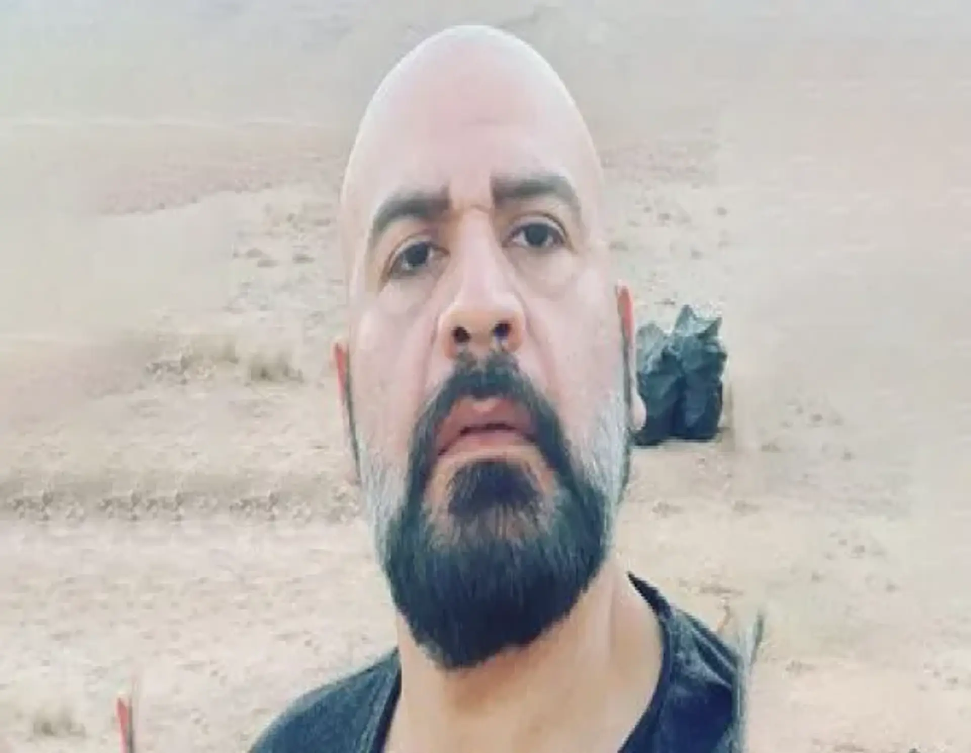 رضا افشار