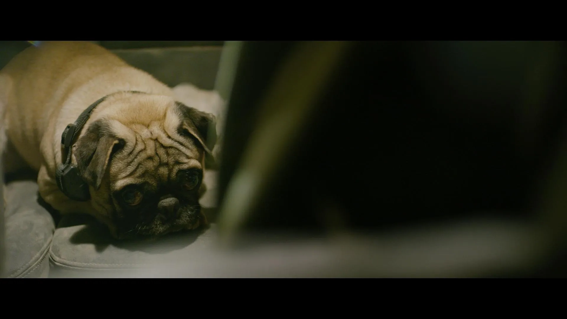 Tunnel (2016)