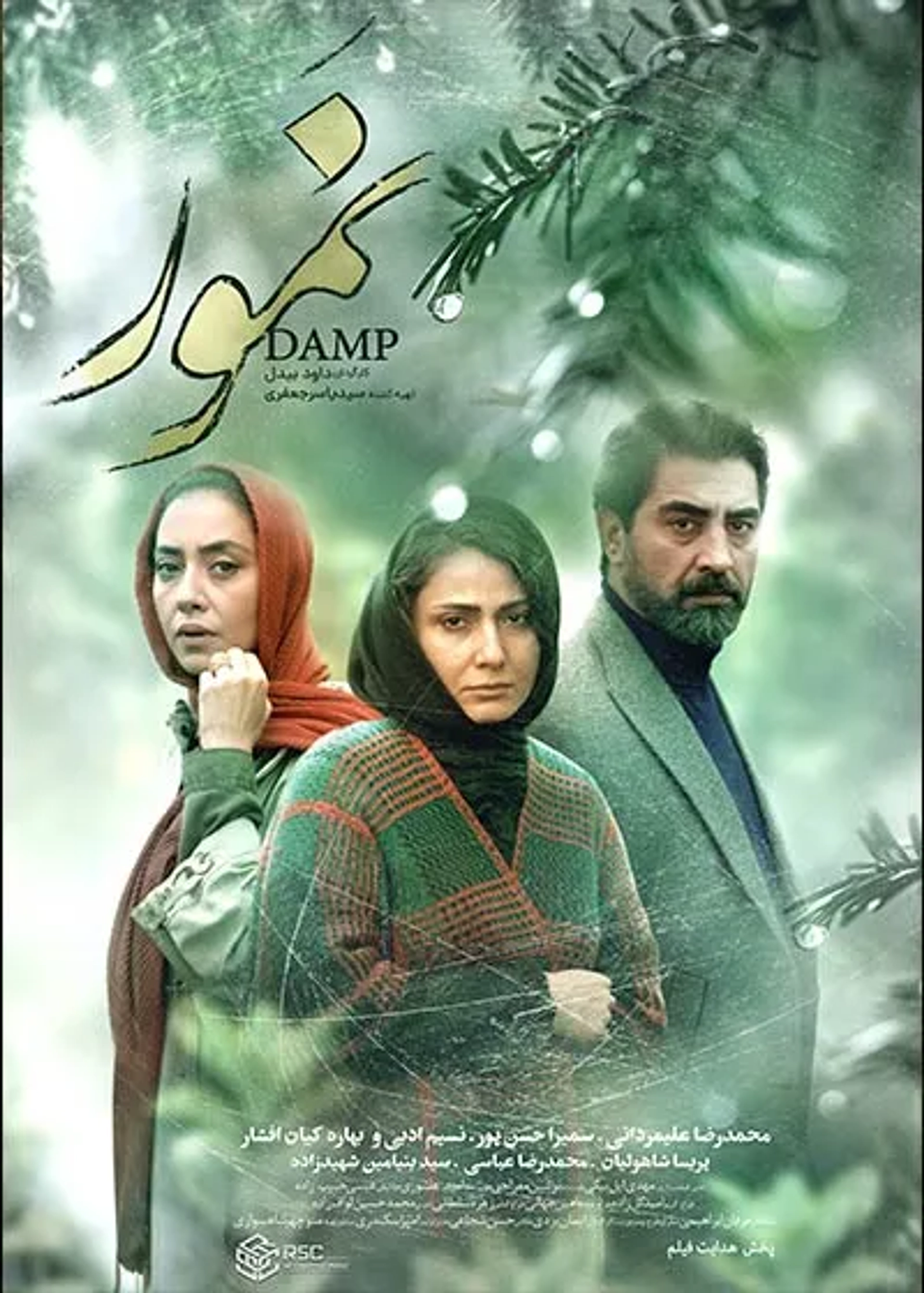 Damp (2022)