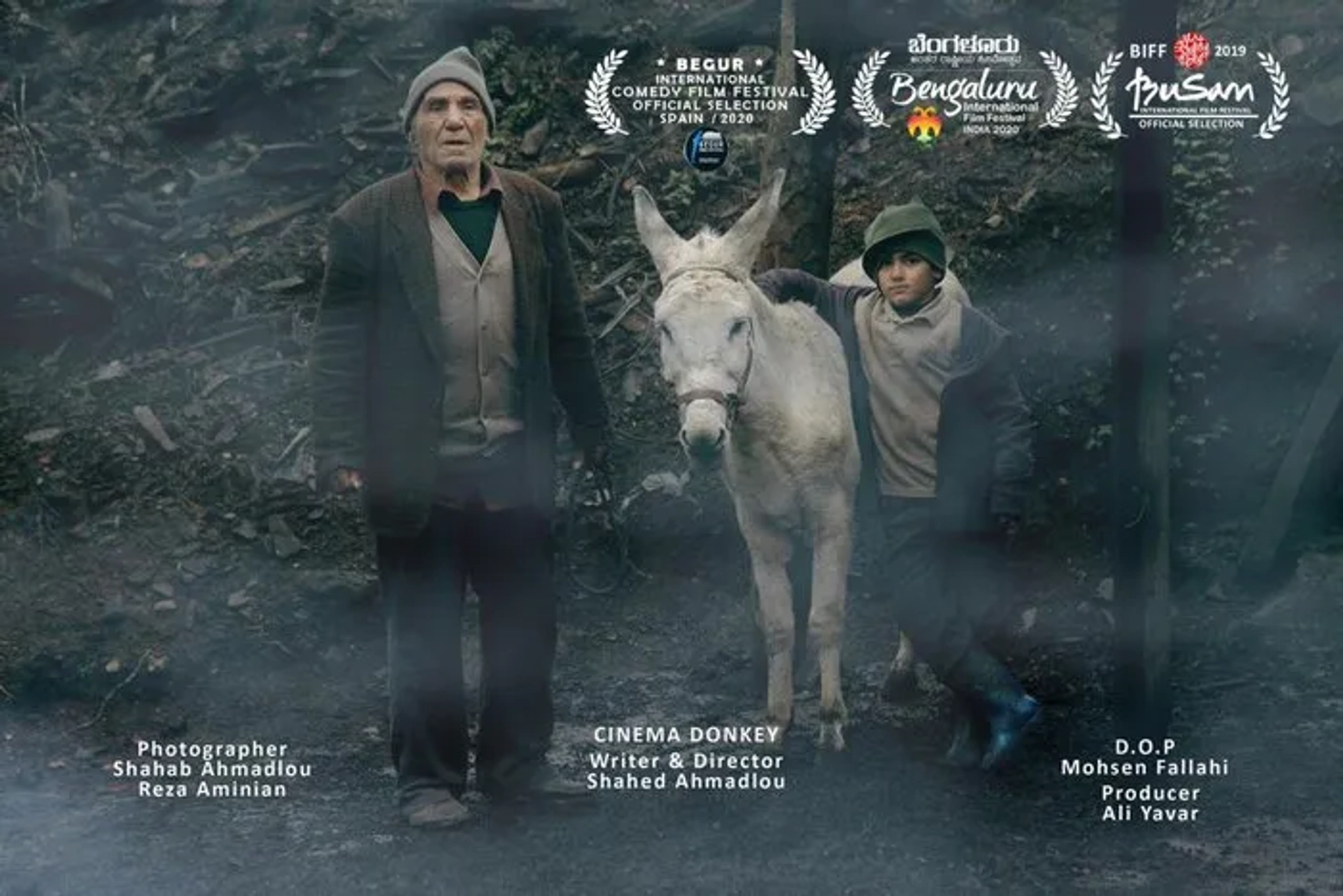 Cinema Donkey (2019)