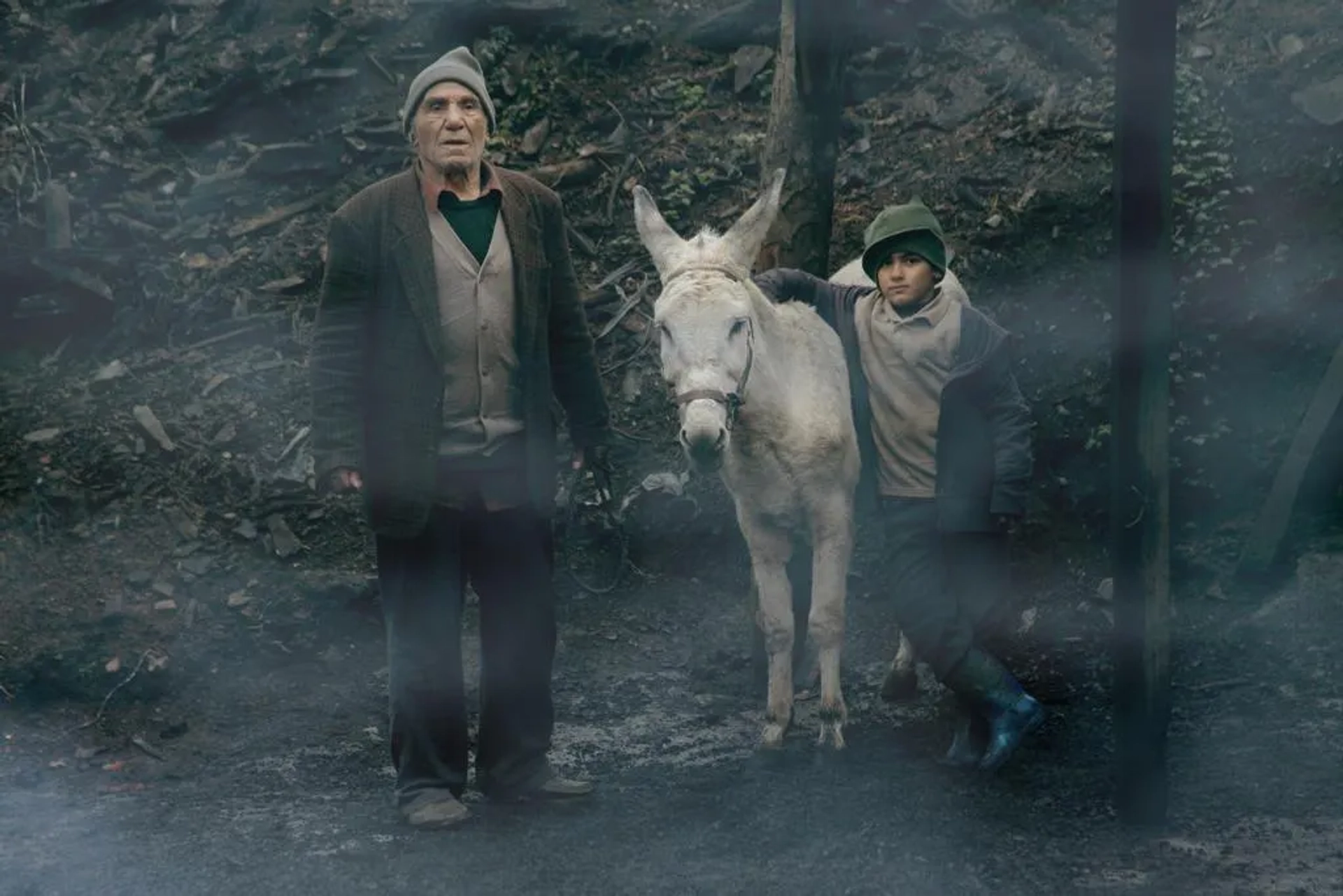 Cinema Donkey (2019)