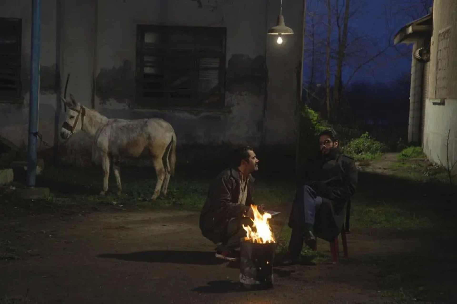 Cinema Donkey (2019)
