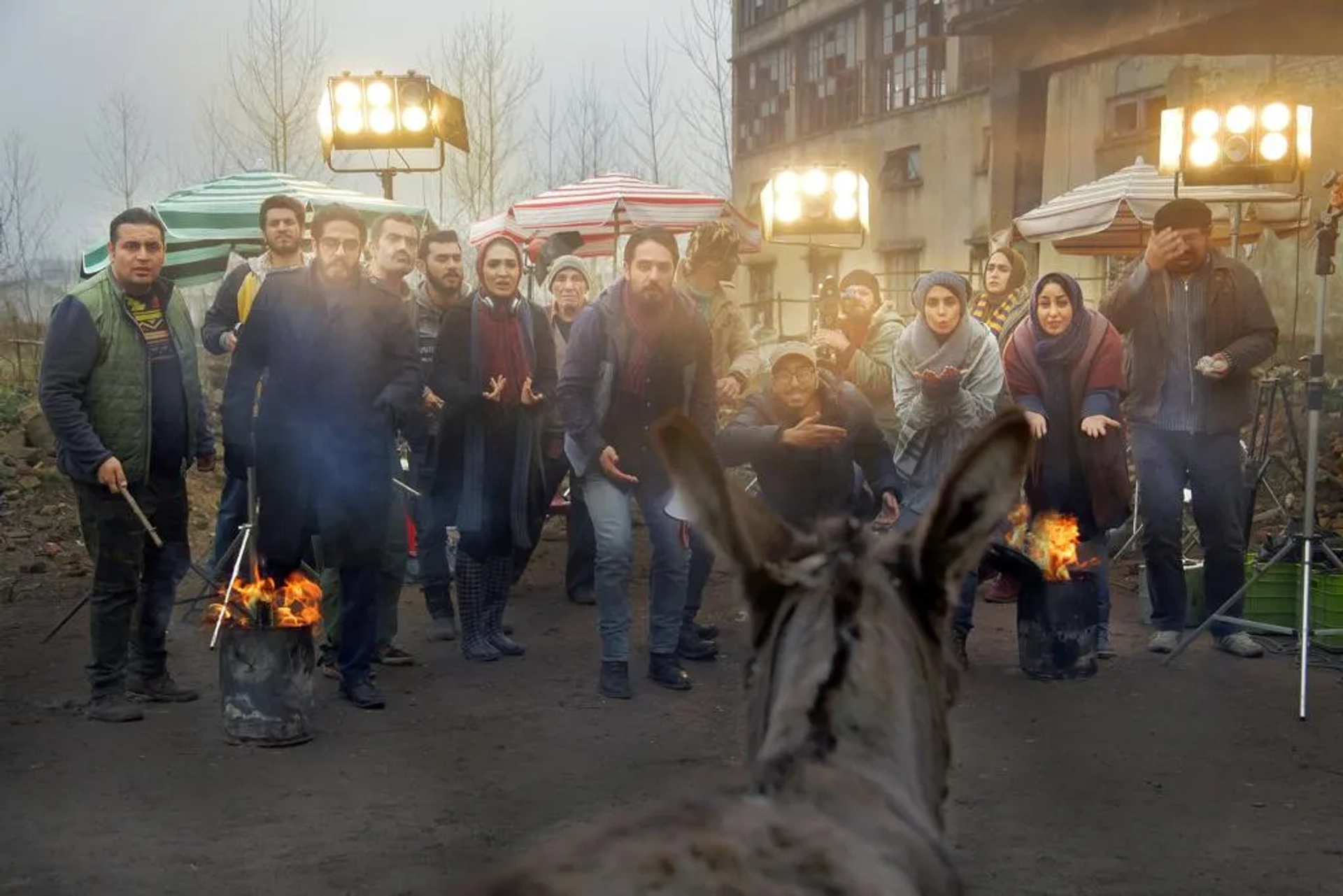 Cinema Donkey (2019)