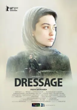 درساژ ۱۳۹۶