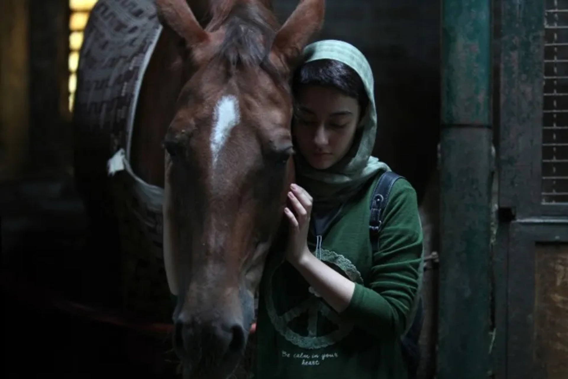 Negar Moghaddam in Dressage (2018)