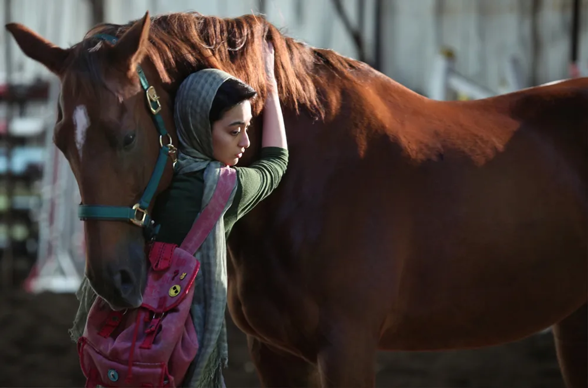 Negar Moghaddam in Dressage (2018)