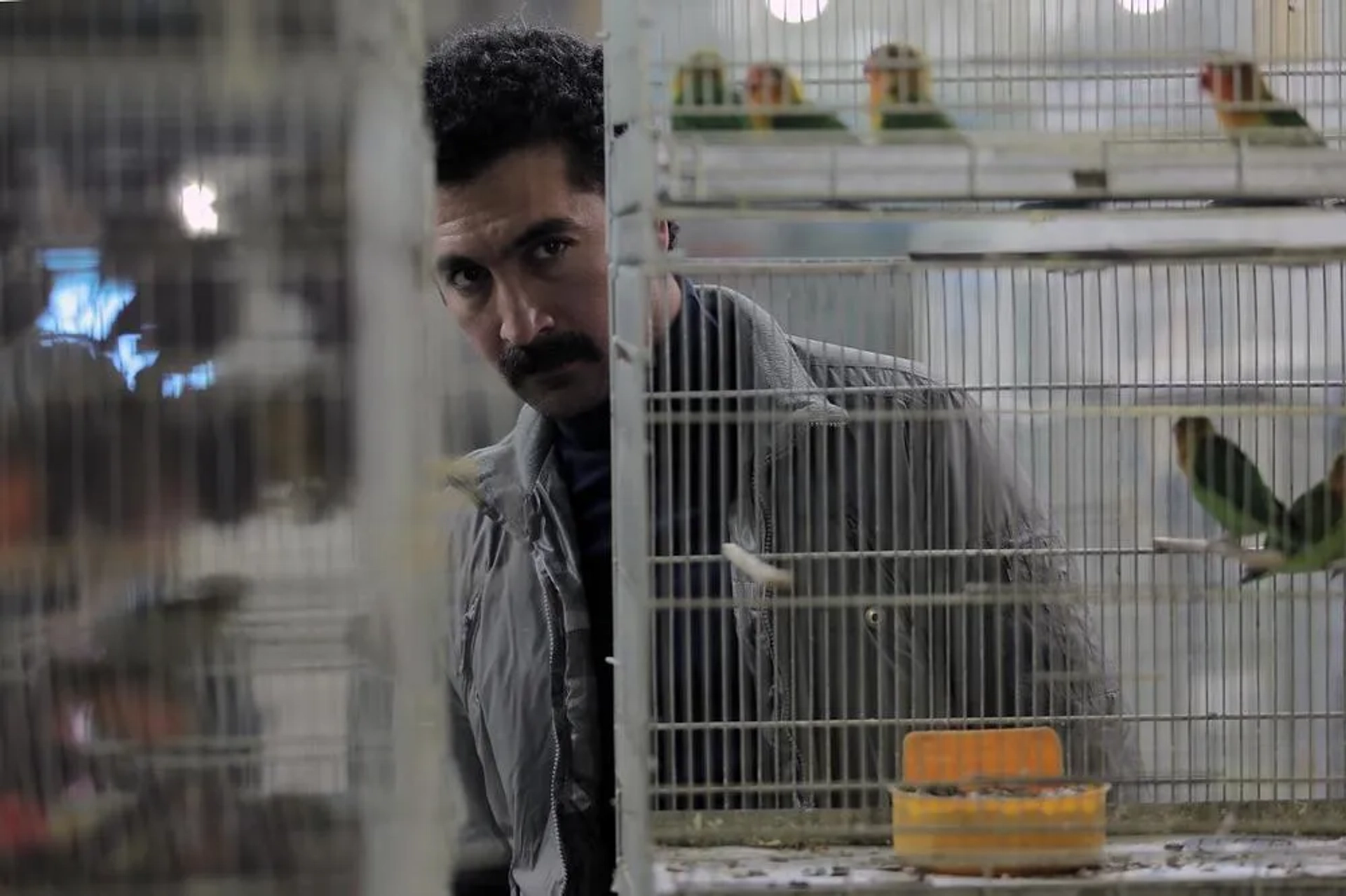 Karim Mohammad Amini in Patio (2018)