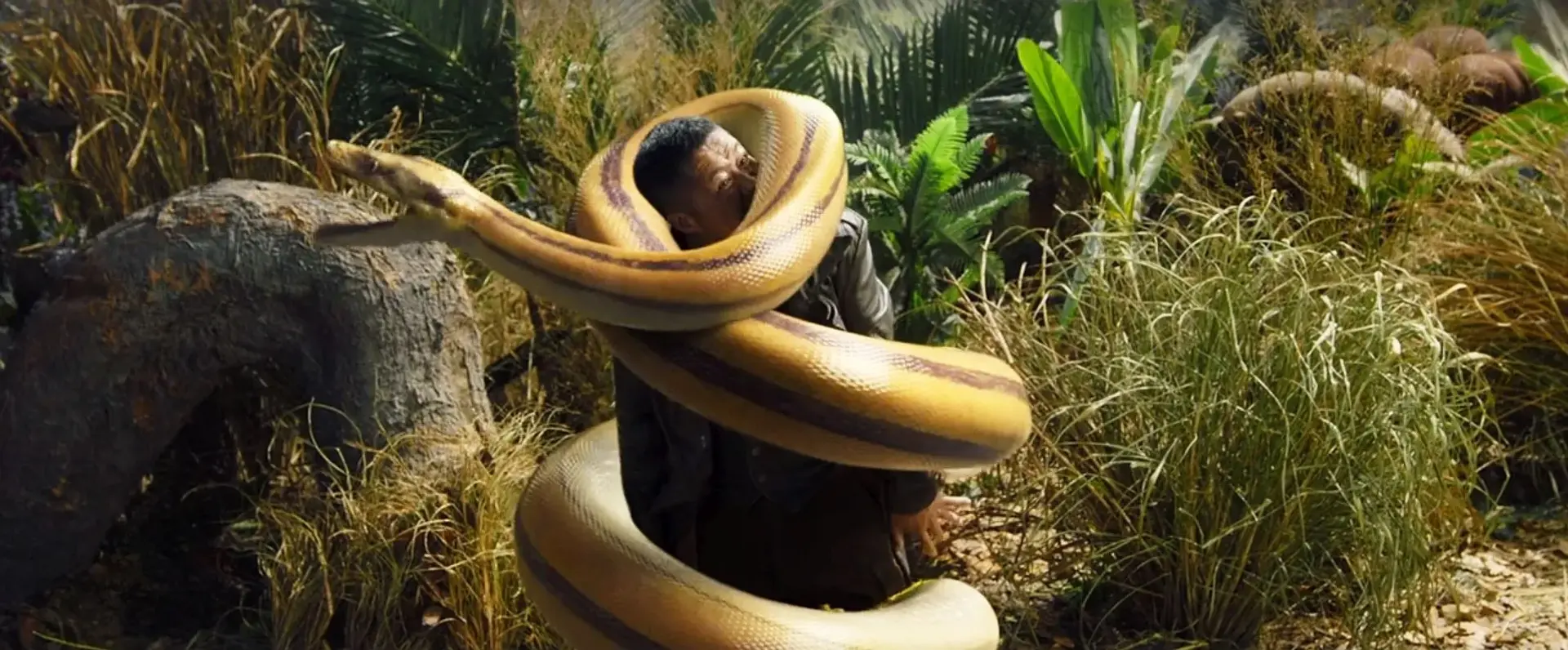 فیلم جزیره پایتون (Python Island 2022)