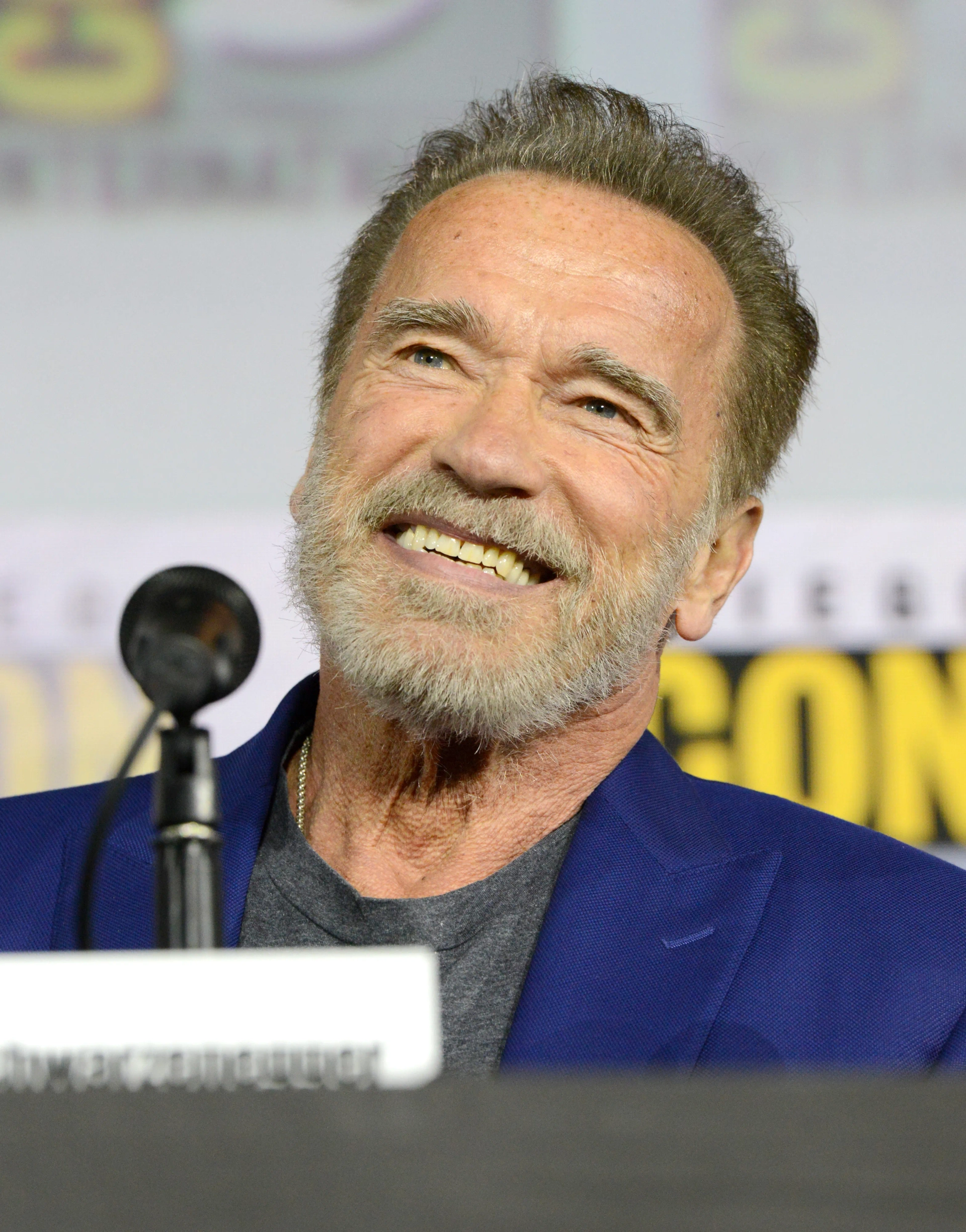Arnold Schwarzenegger at an event for Terminator: Dark Fate (2019)