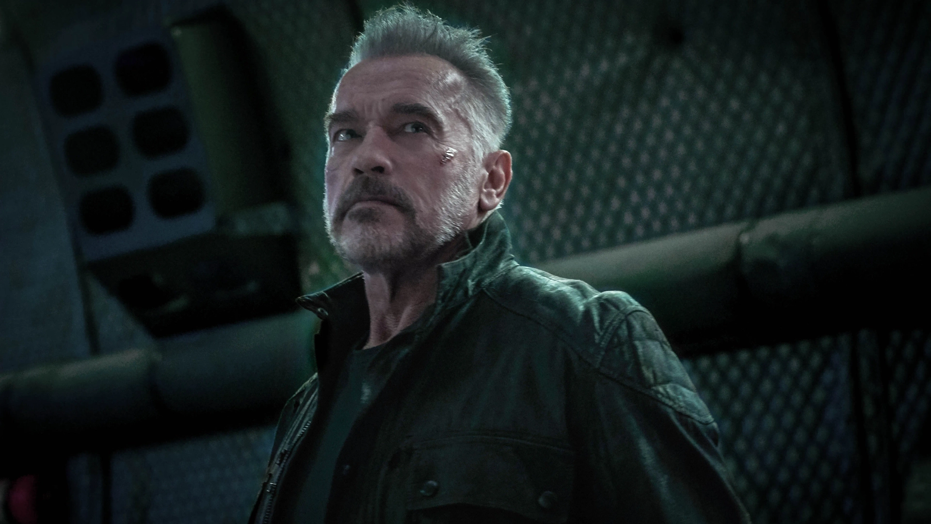 Arnold Schwarzenegger in Terminator: Dark Fate (2019)