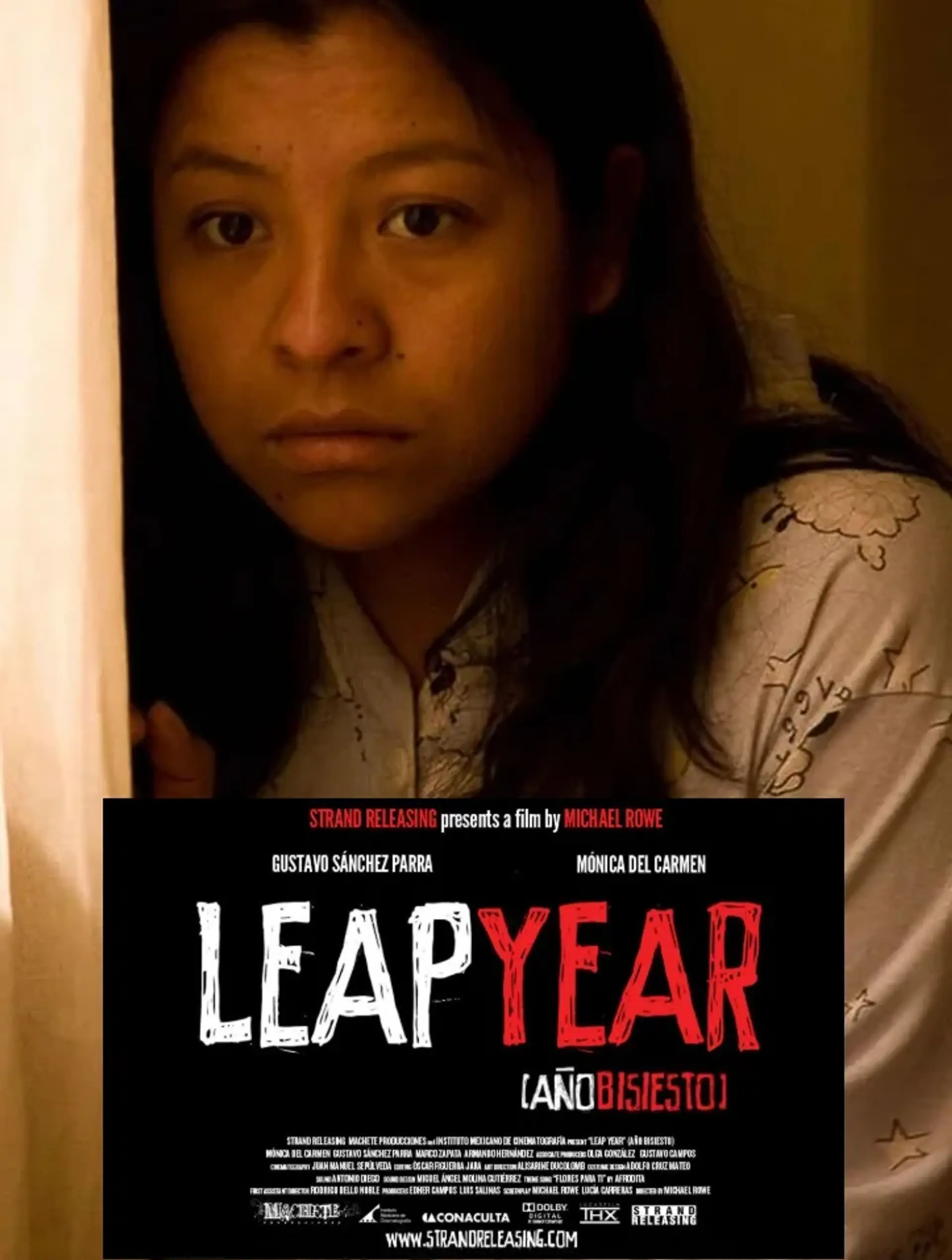 فیلم سال کبیسه (Leap Year 2010)