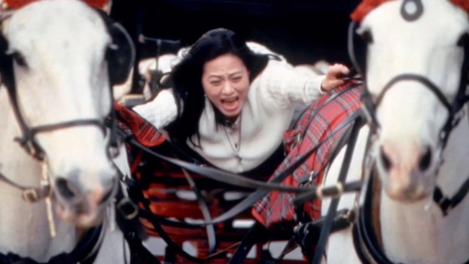 Miki Lee in Mr. Nice Guy (1997)
