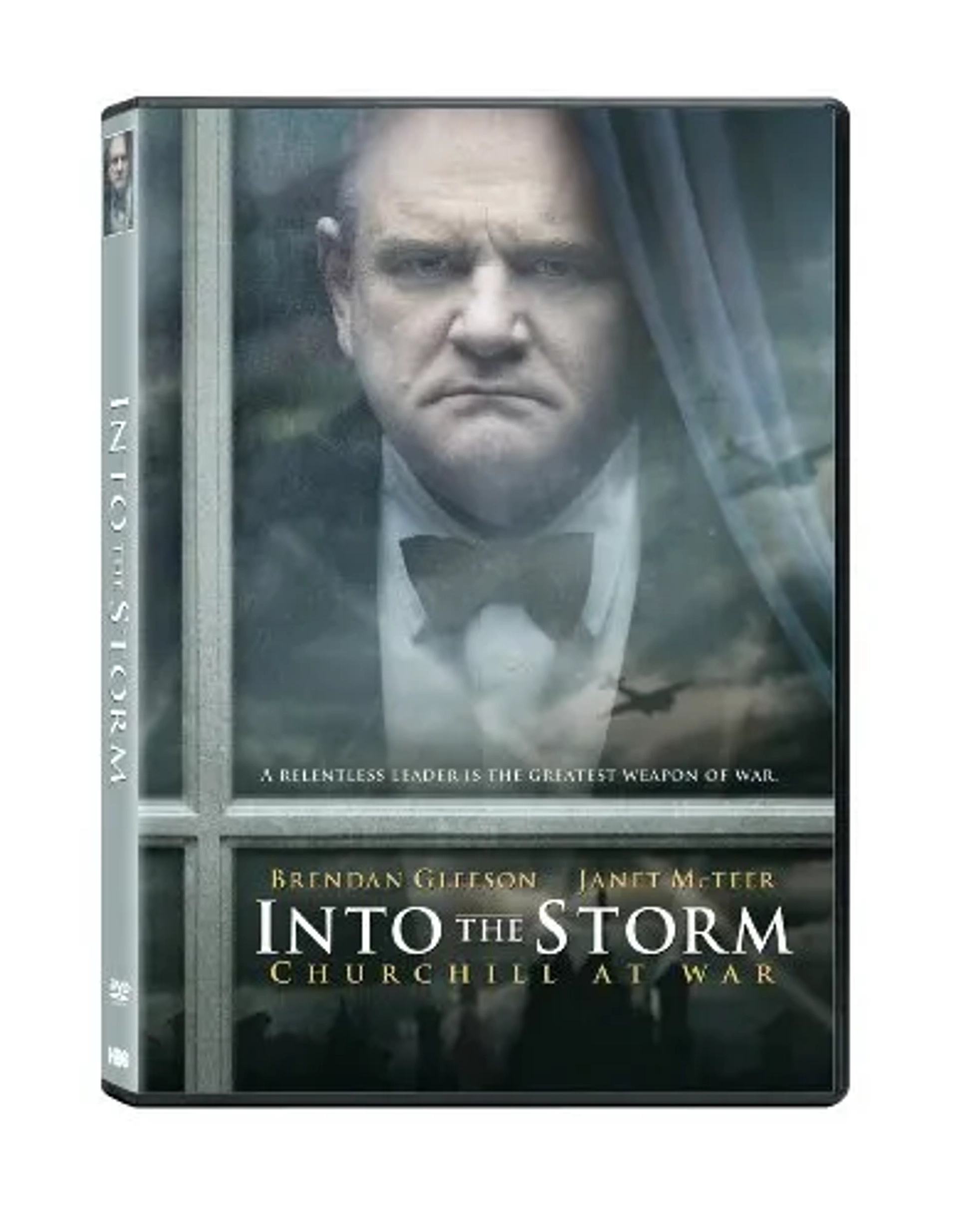 Brendan Gleeson in Into the Storm (2009)