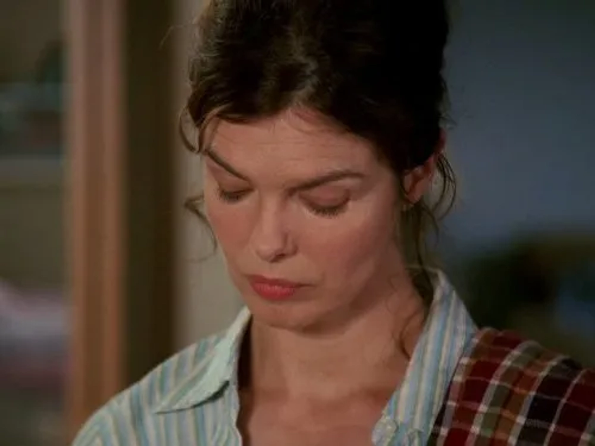 Jeanne Tripplehorn in Big Love (2006)