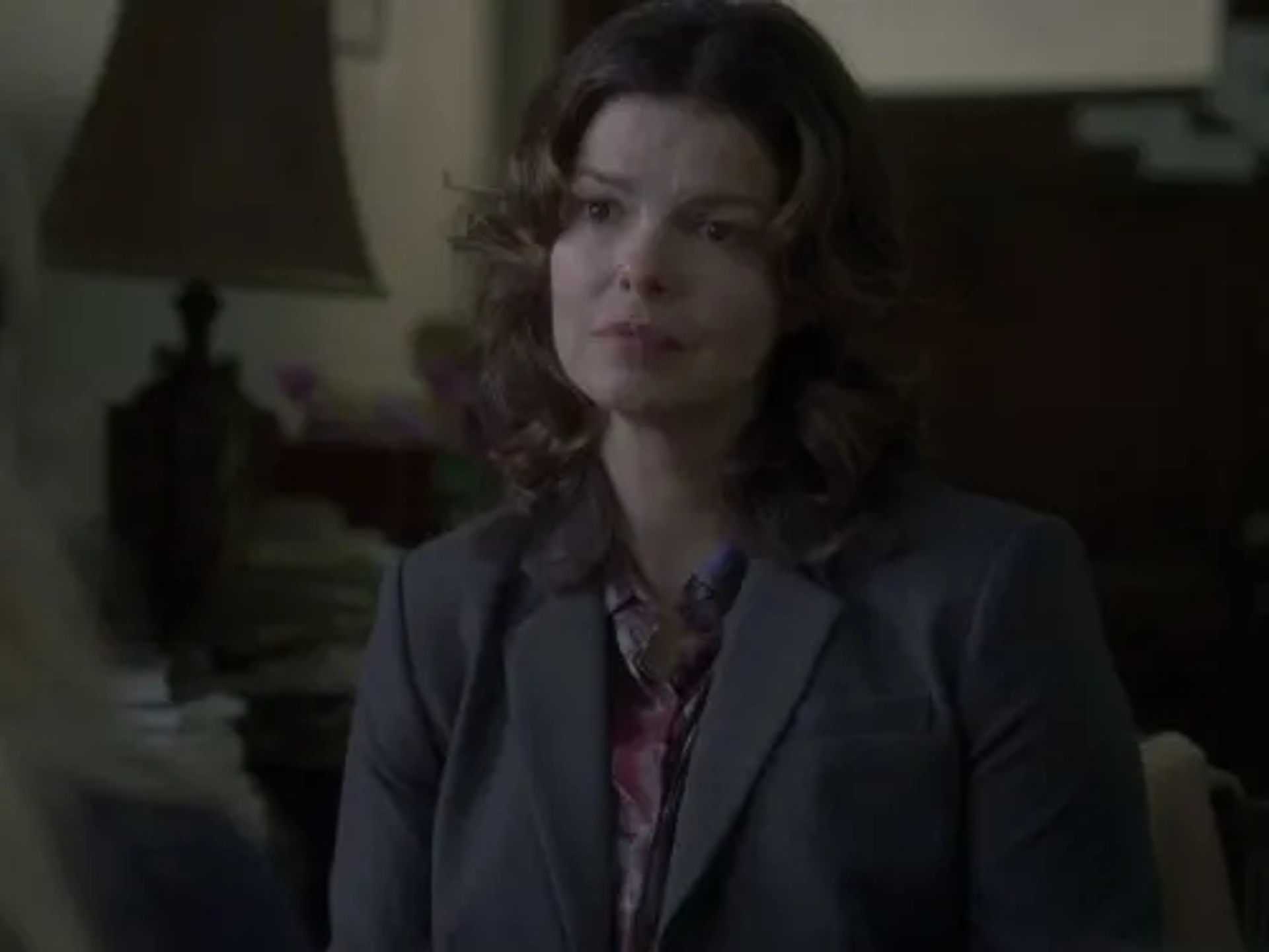 Jeanne Tripplehorn in Big Love (2006)