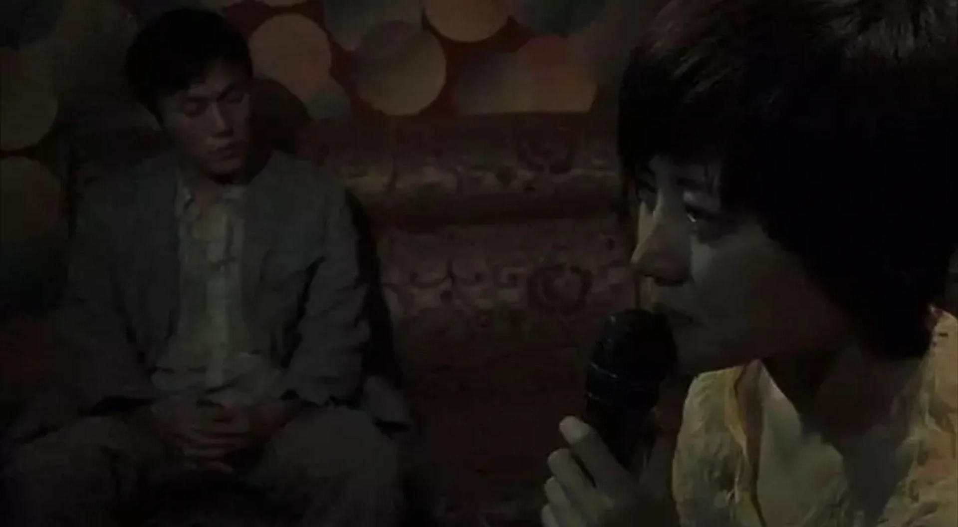 Hao Qin and Zhuo Tan in Spring Fever (2009)
