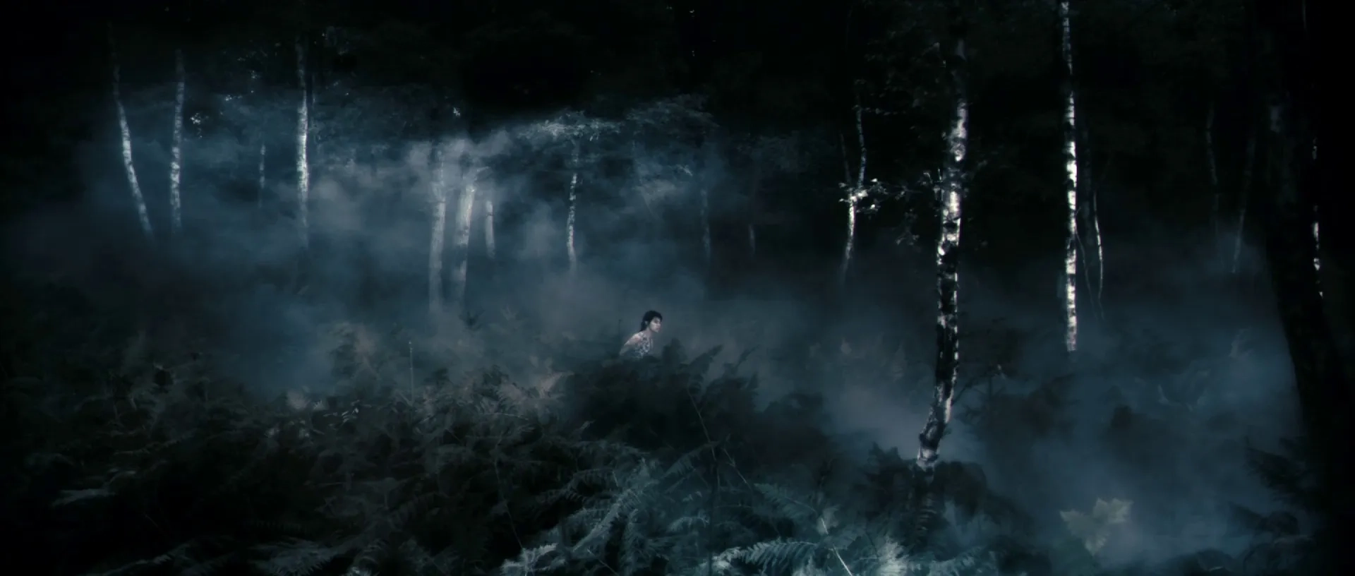 Charlotte Gainsbourg in Antichrist (2009)