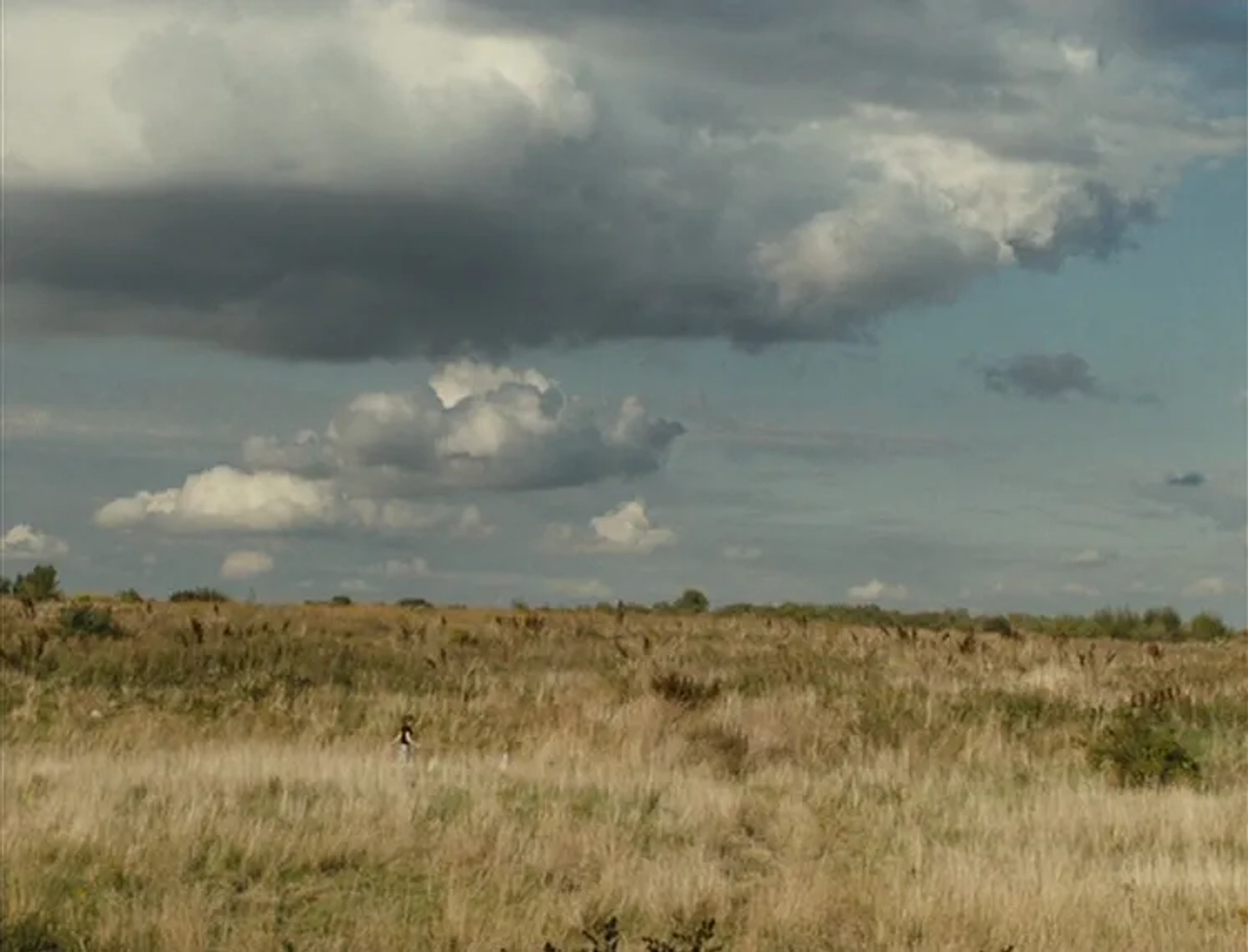 Fish Tank (2009)