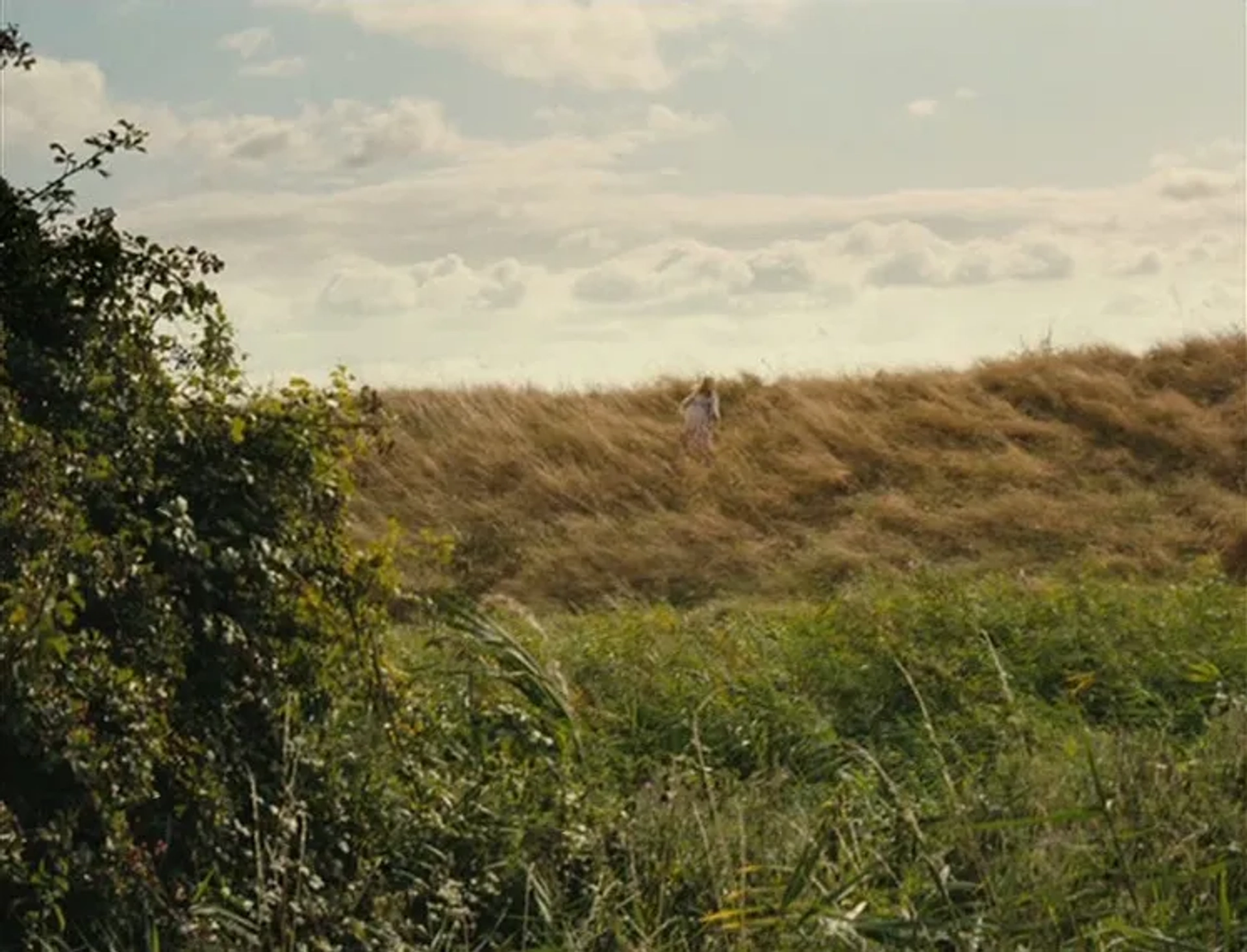 Fish Tank (2009)