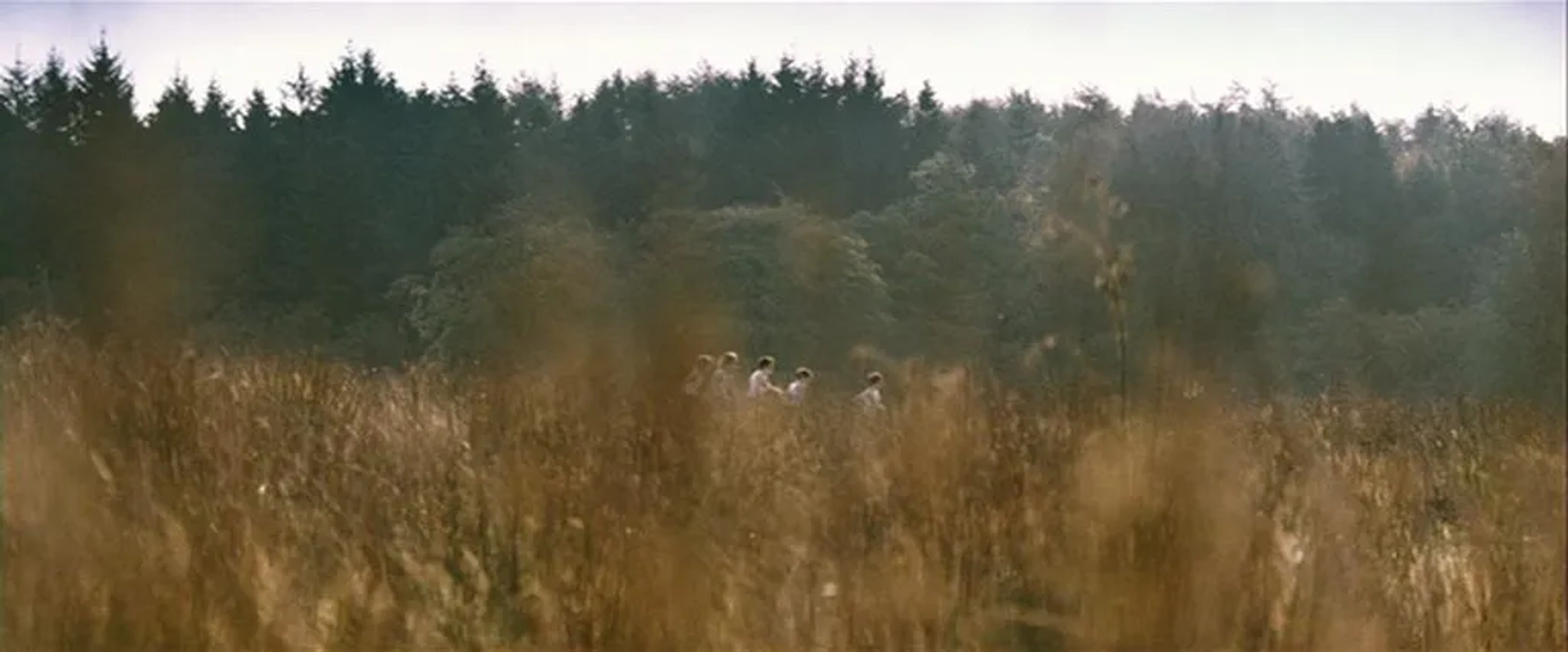 Hunger (2008)