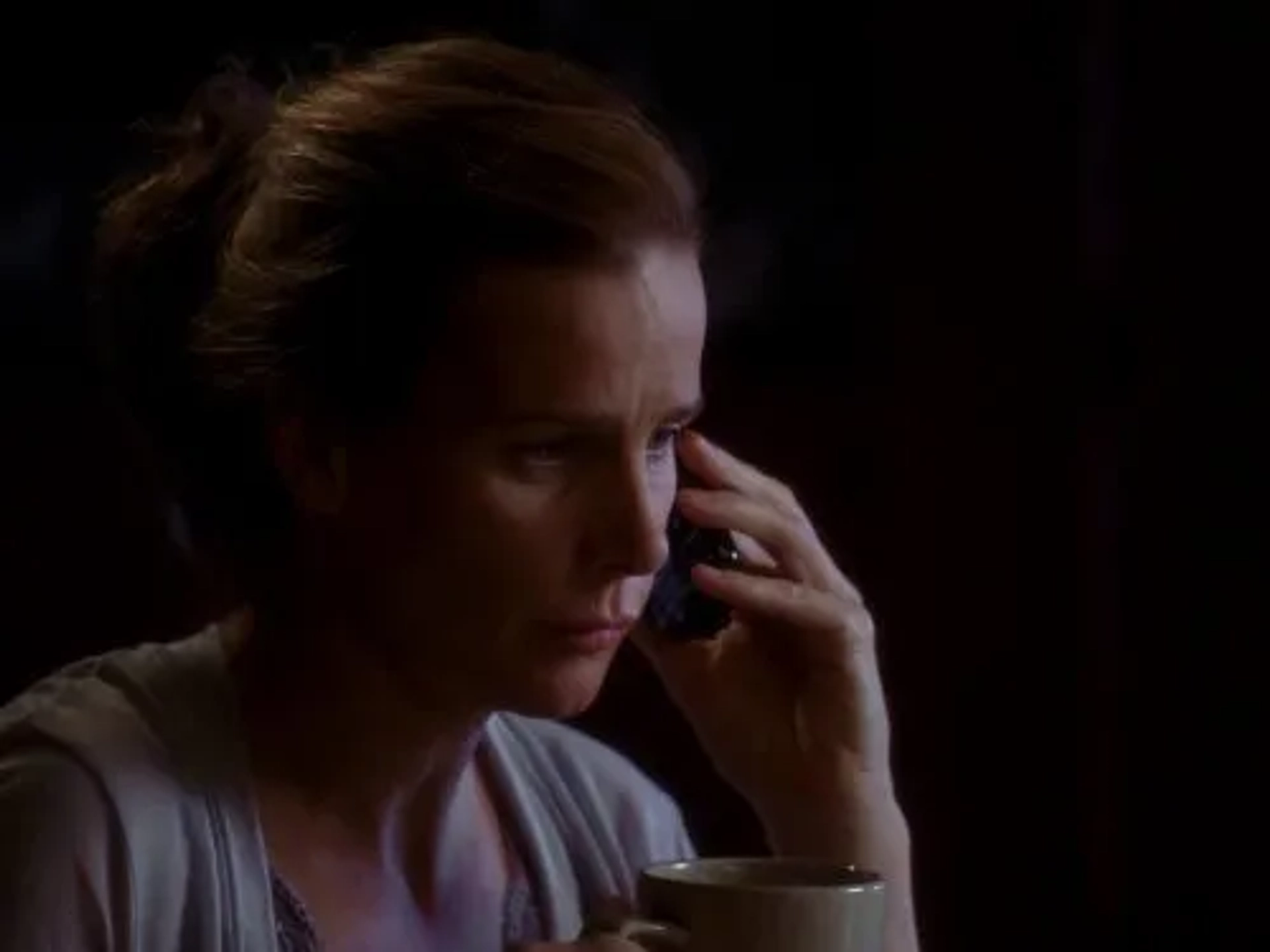 Rachel Griffiths in Brothers & Sisters (2006)