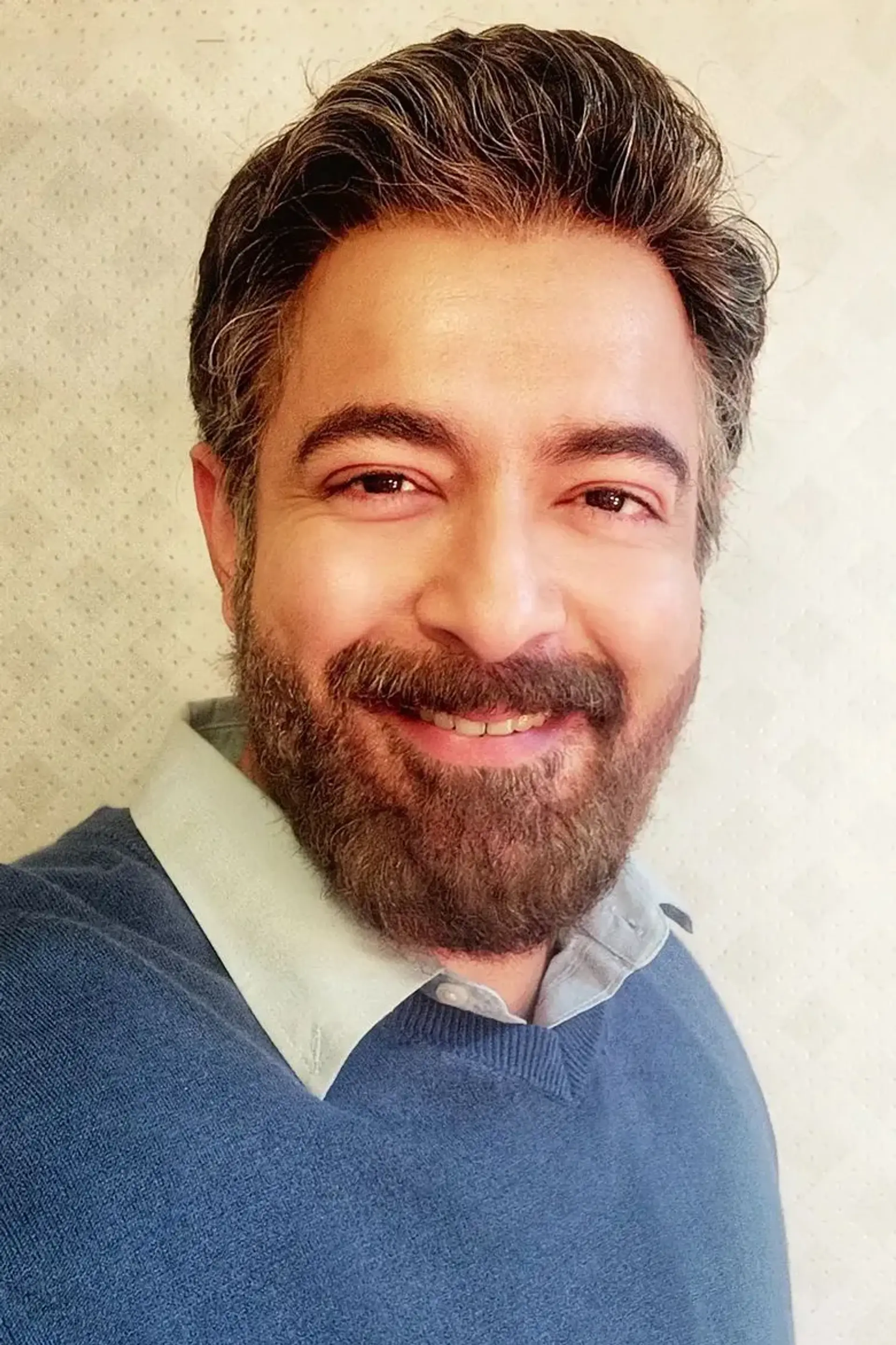 ویوک میدن