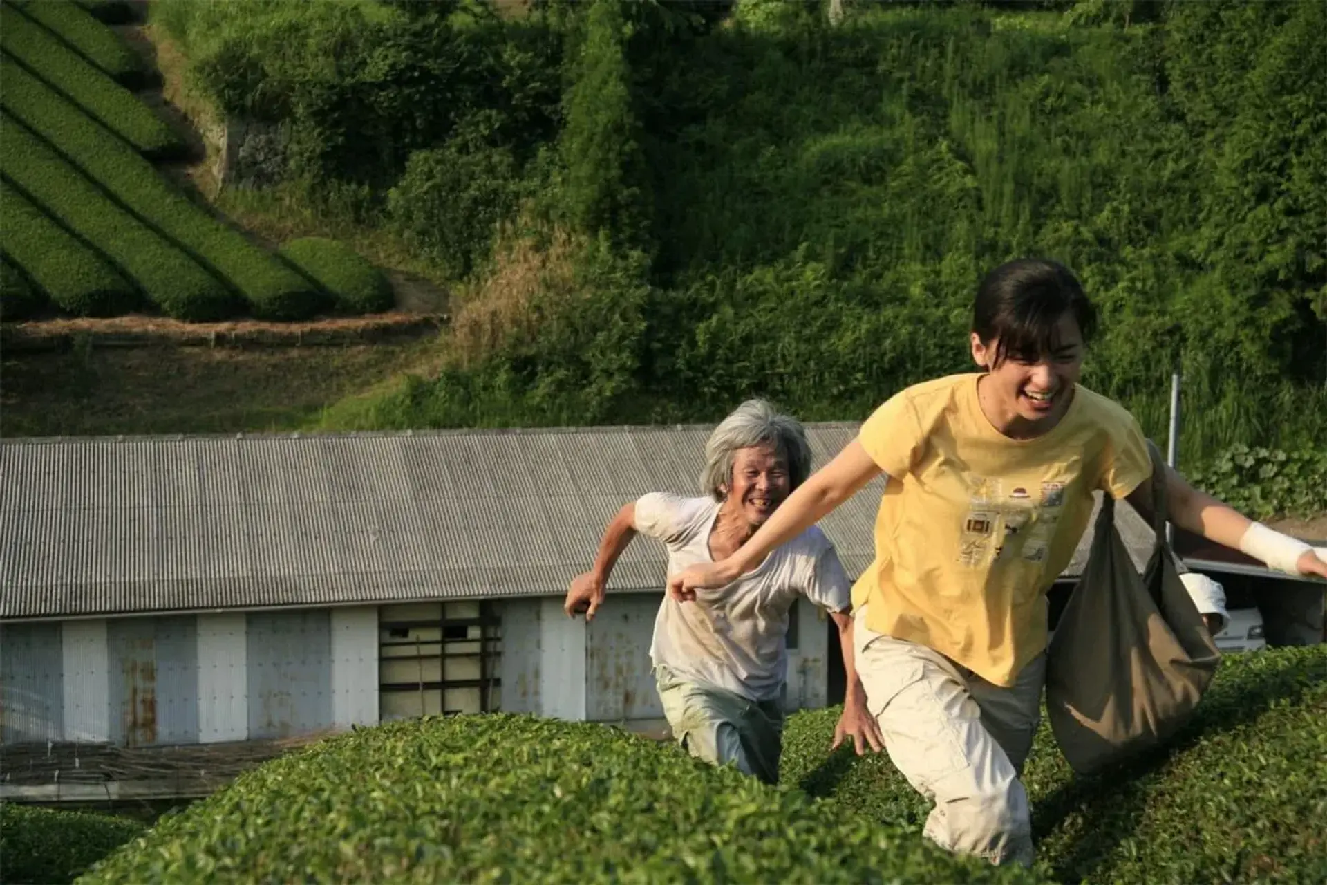 فیلم جنگل سوگوار (The Mourning Forest 2007)