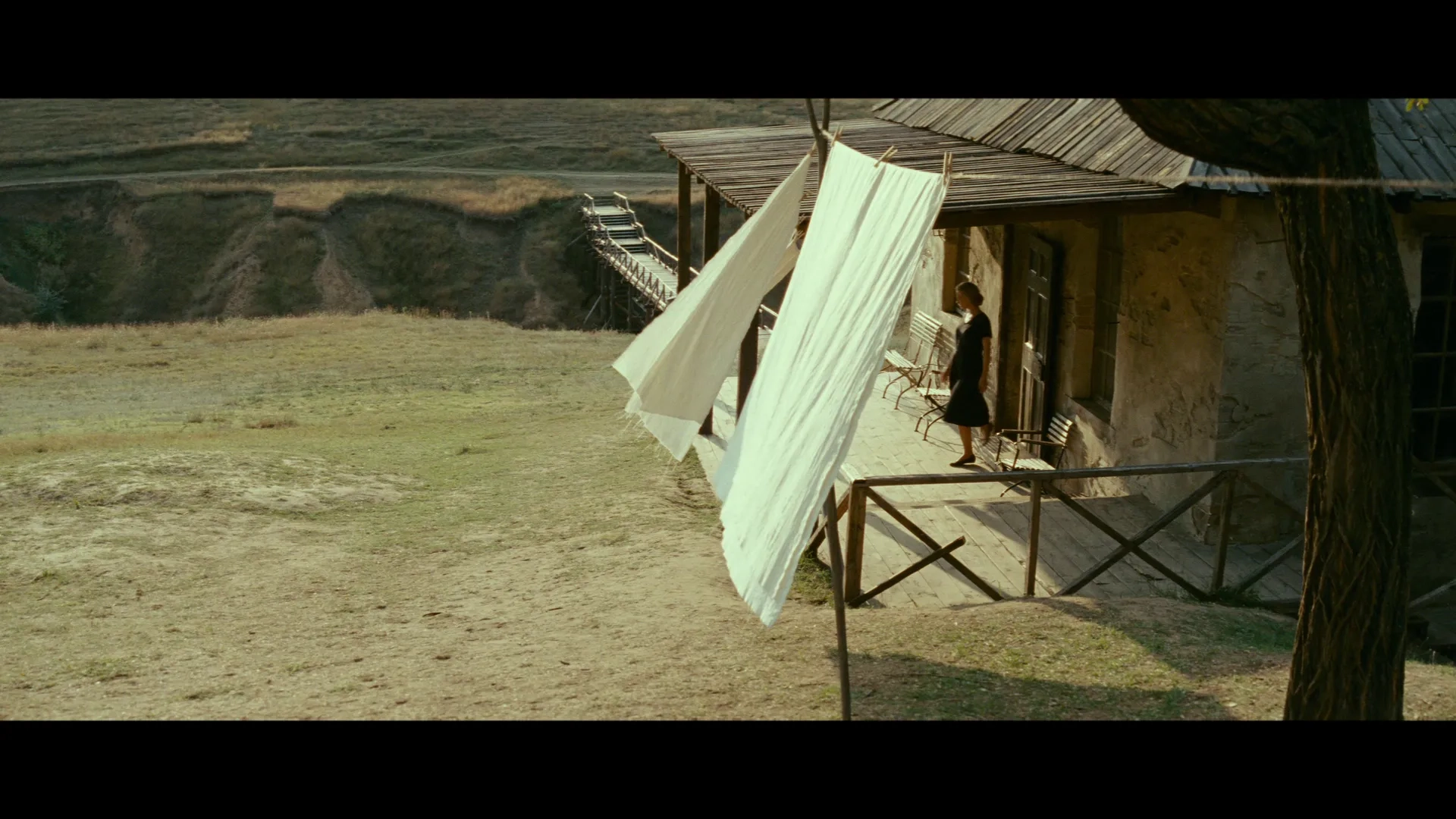 The Banishment (2007)