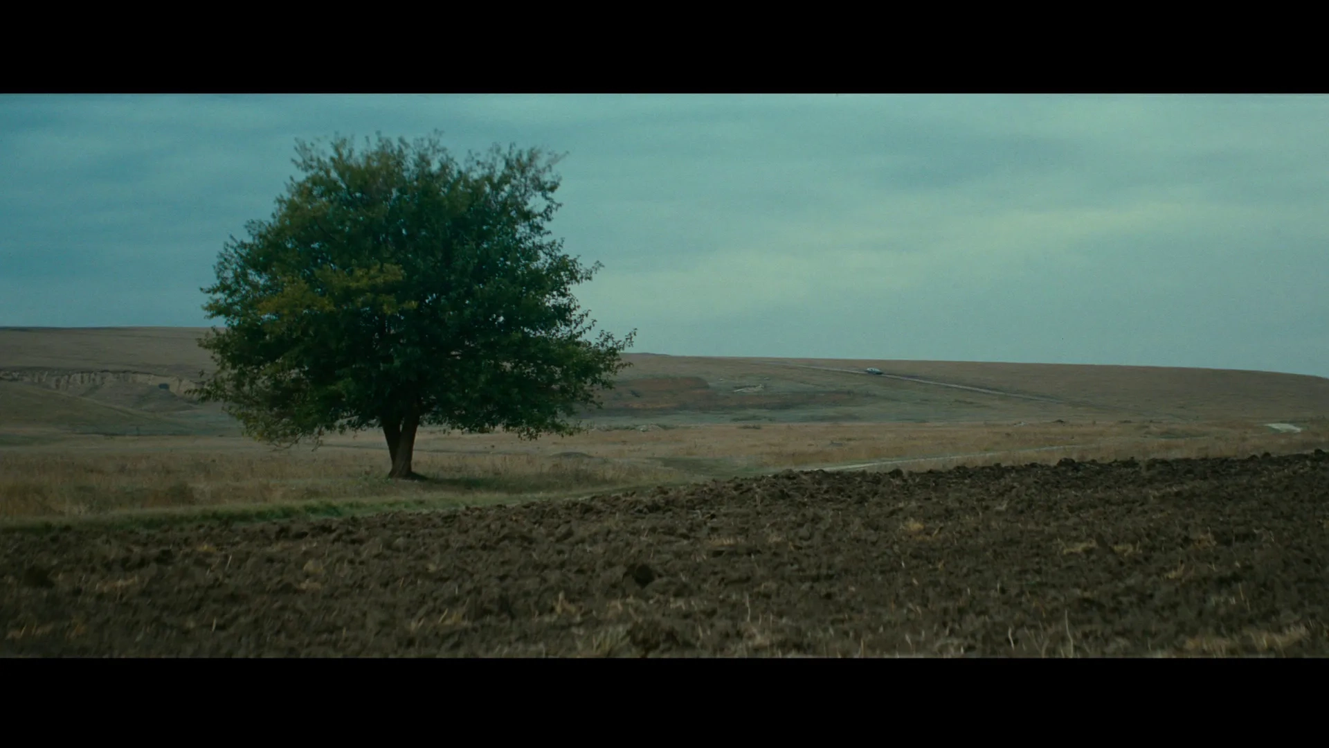 The Banishment (2007)