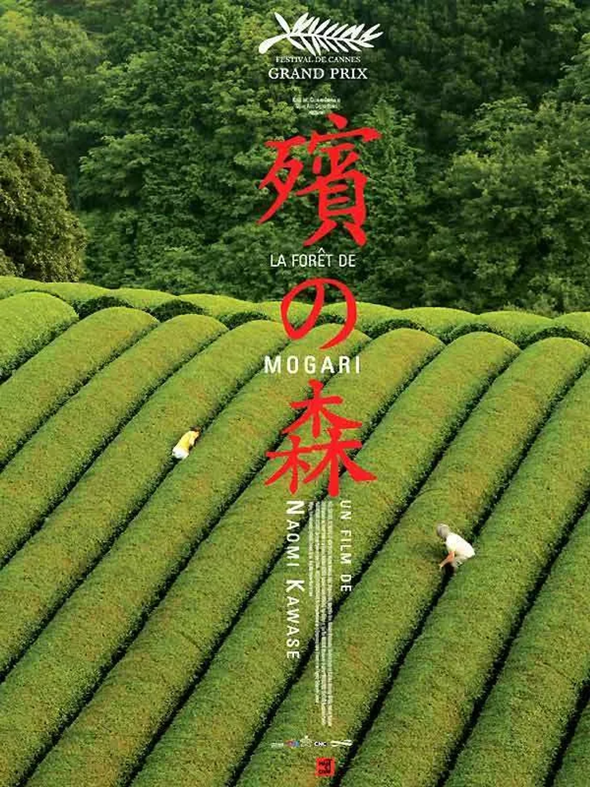 The Mourning Forest (2007)