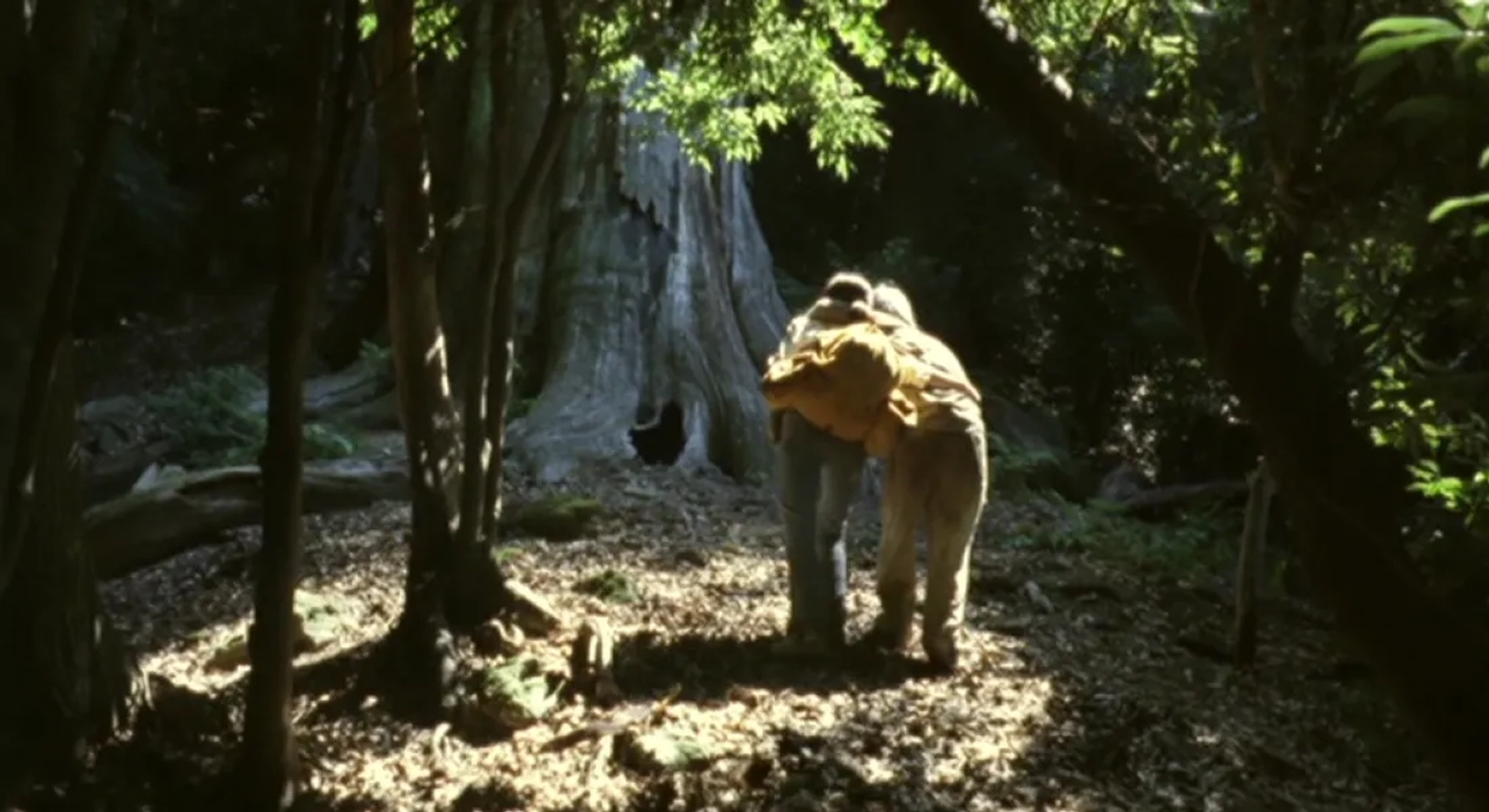The Mourning Forest (2007)
