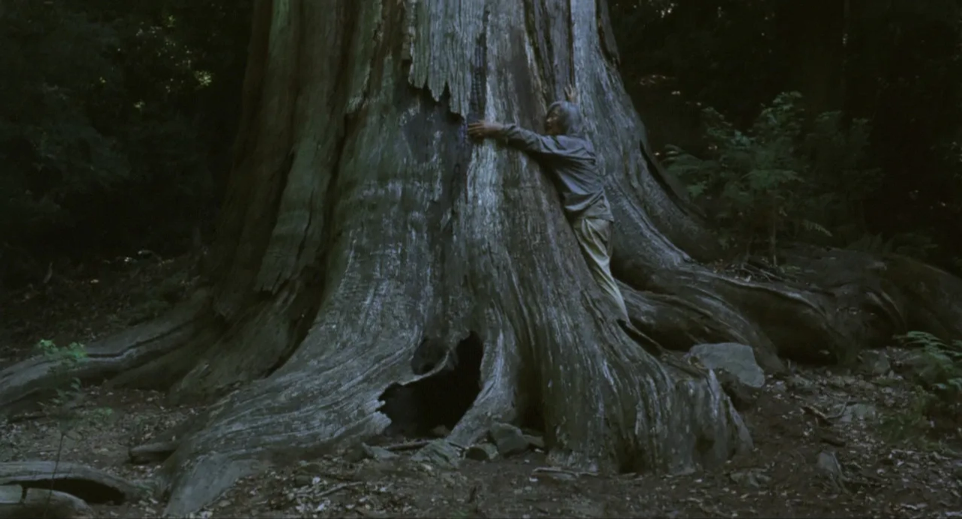Shigeki Uda in The Mourning Forest (2007)