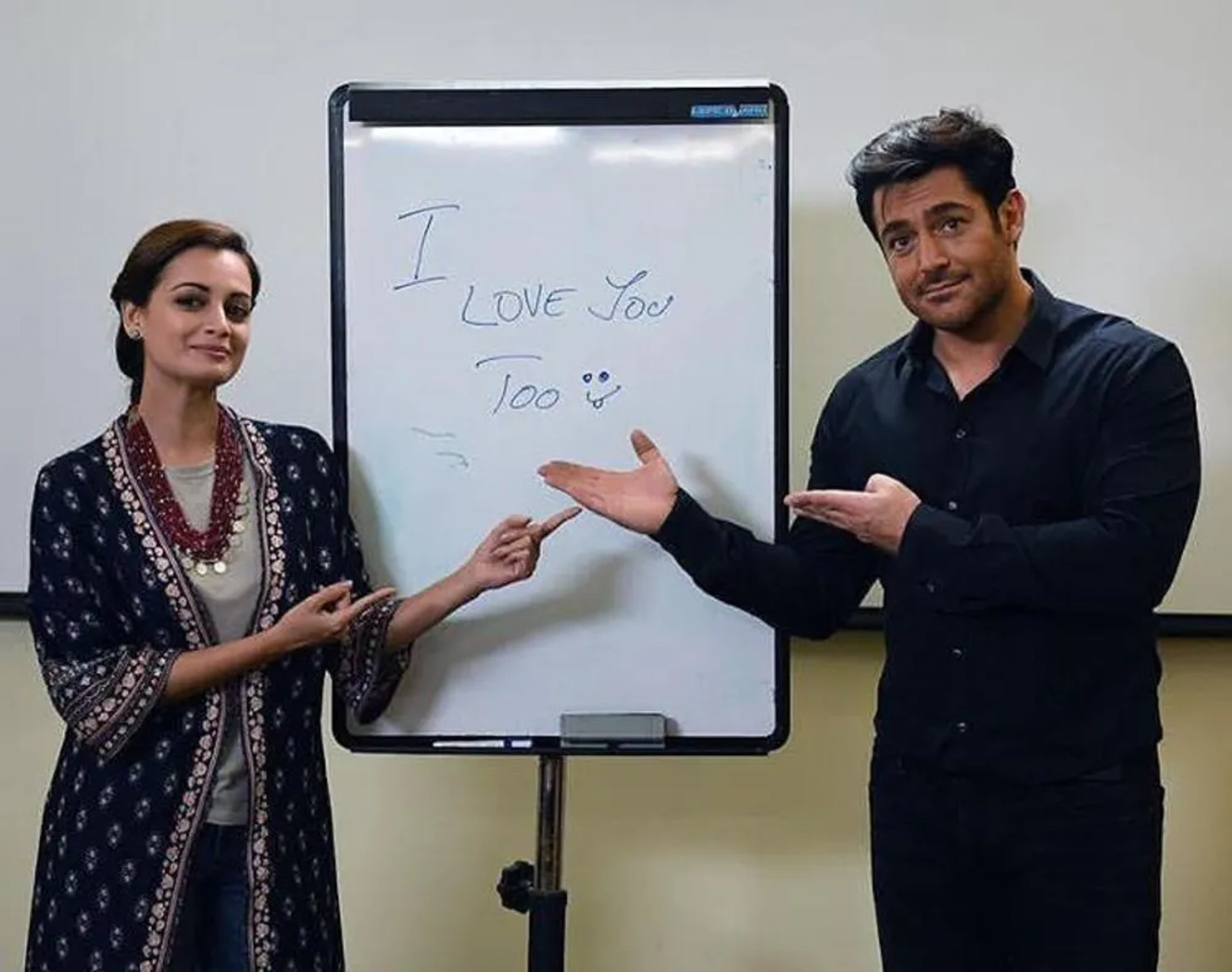 Dia Mirza and Mohammad Reza Golzar in Hello Mumbai (2016)